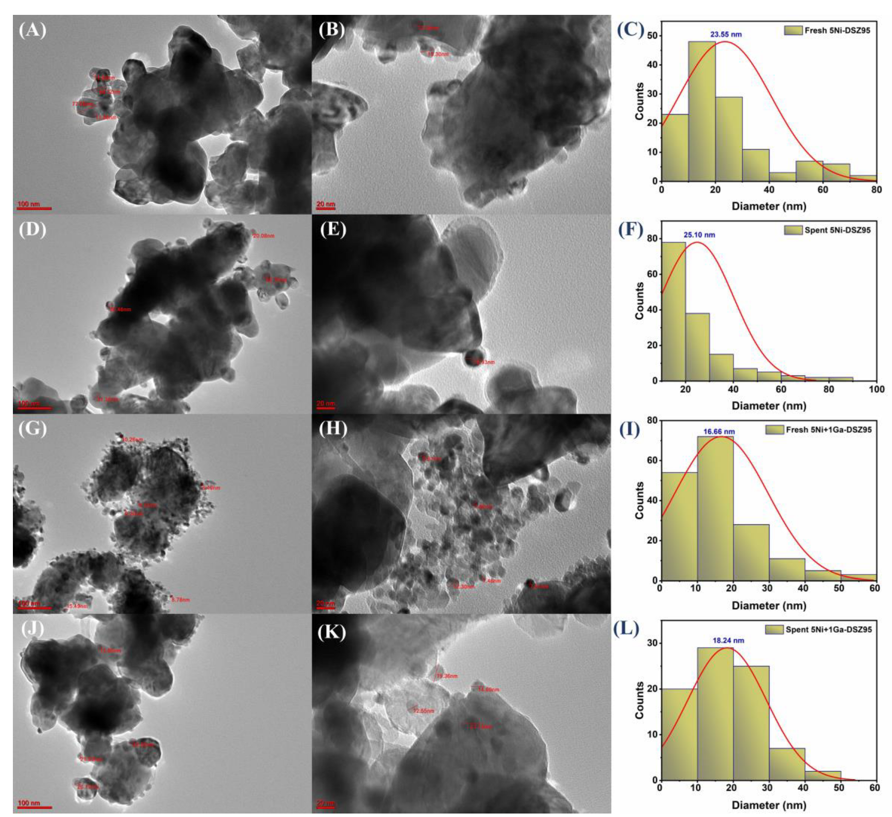 Catalysts 14 00851 g010