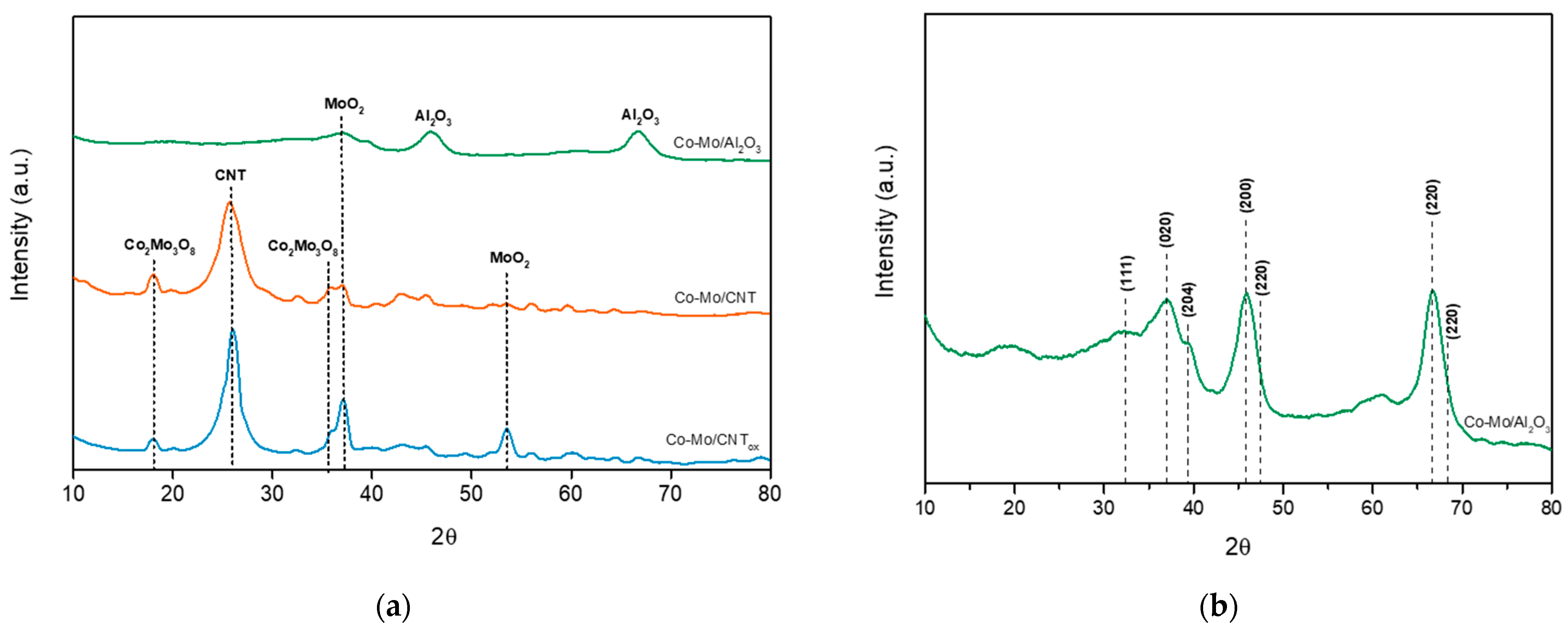 Catalysts 14 00853 g001