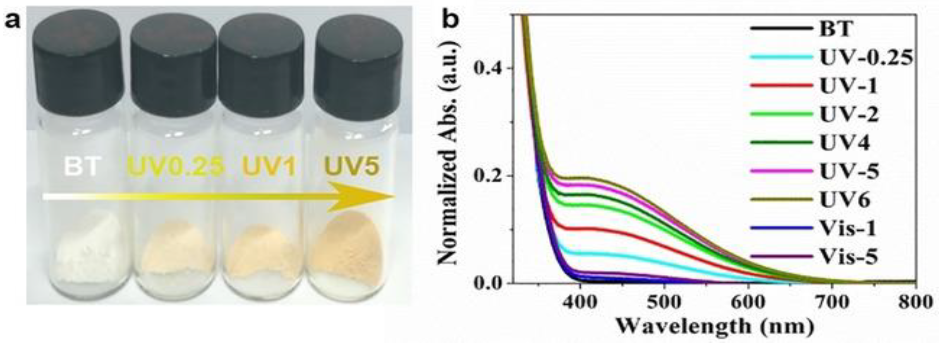 Catalysts 14 00855 g003