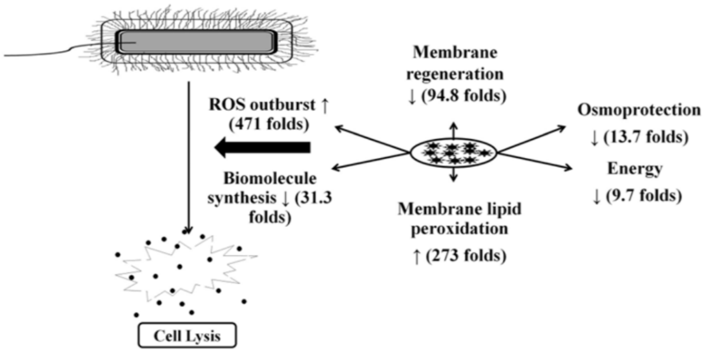 Catalysts 14 00855 g008