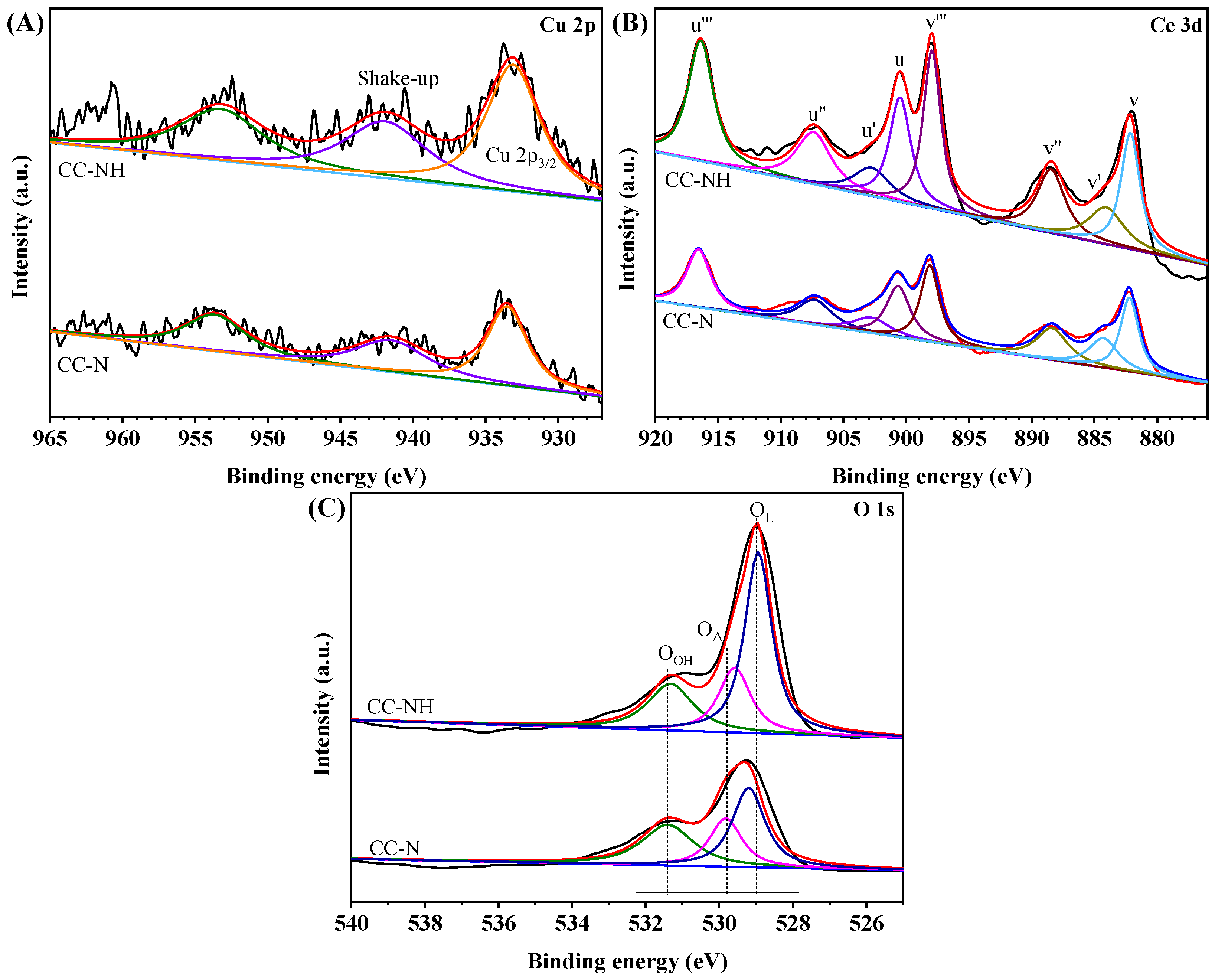 Catalysts 14 00856 g004
