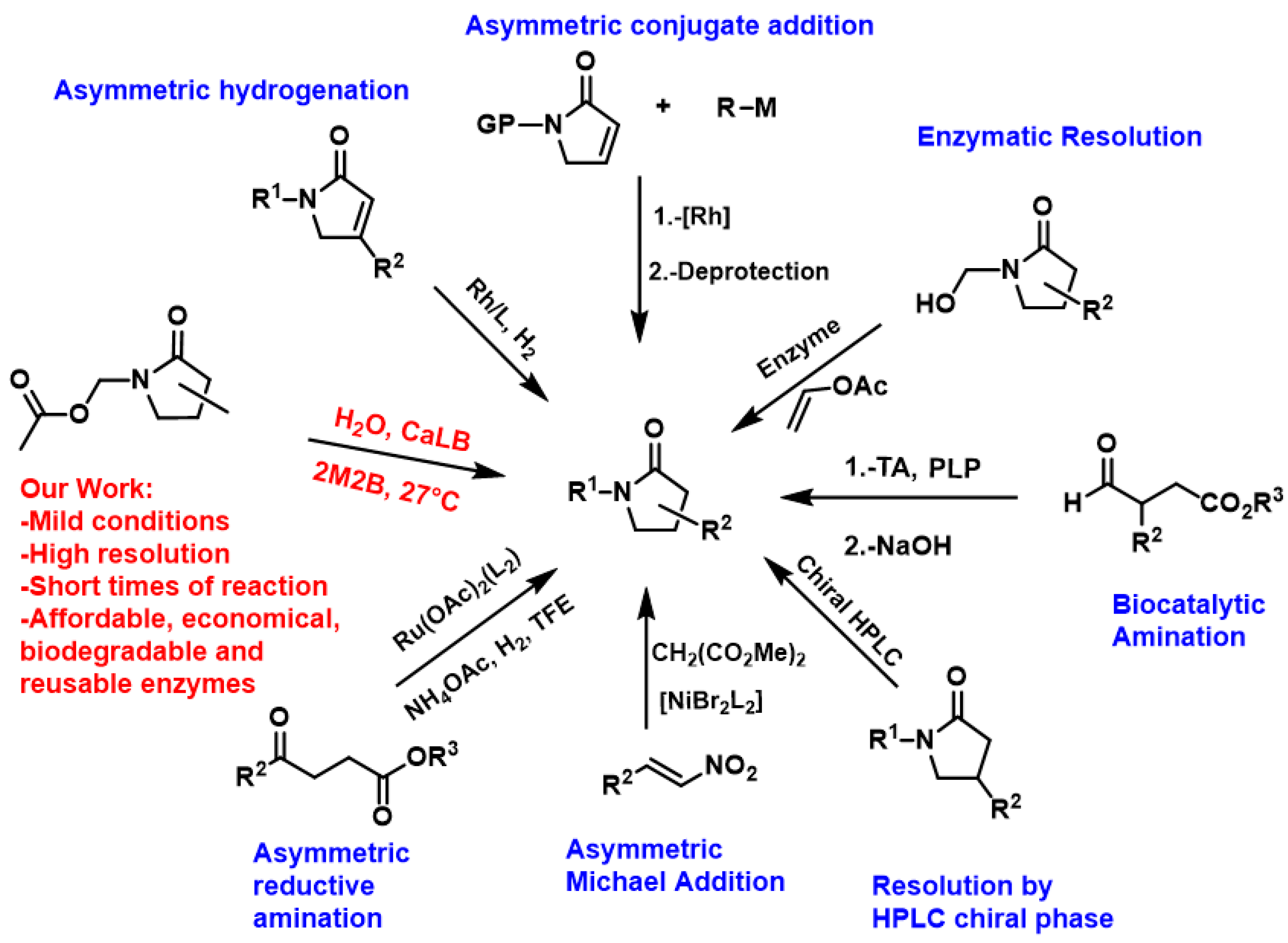 Catalysts 14 00861 g003