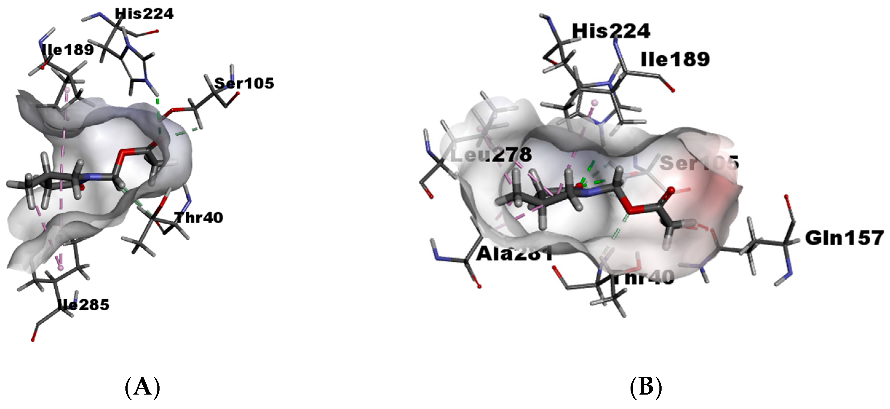 Catalysts 14 00861 g006