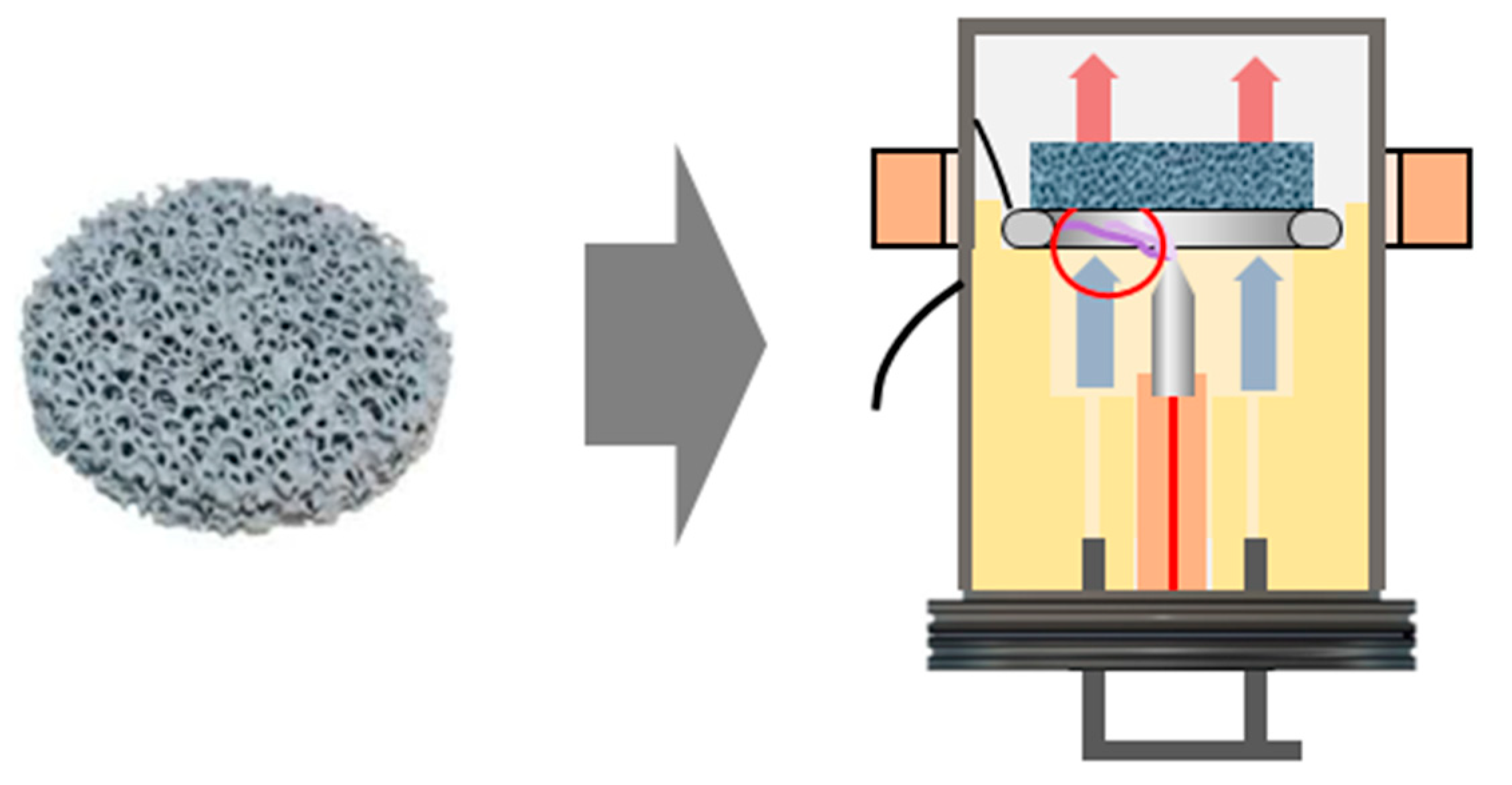 Catalysts 14 00864 g005