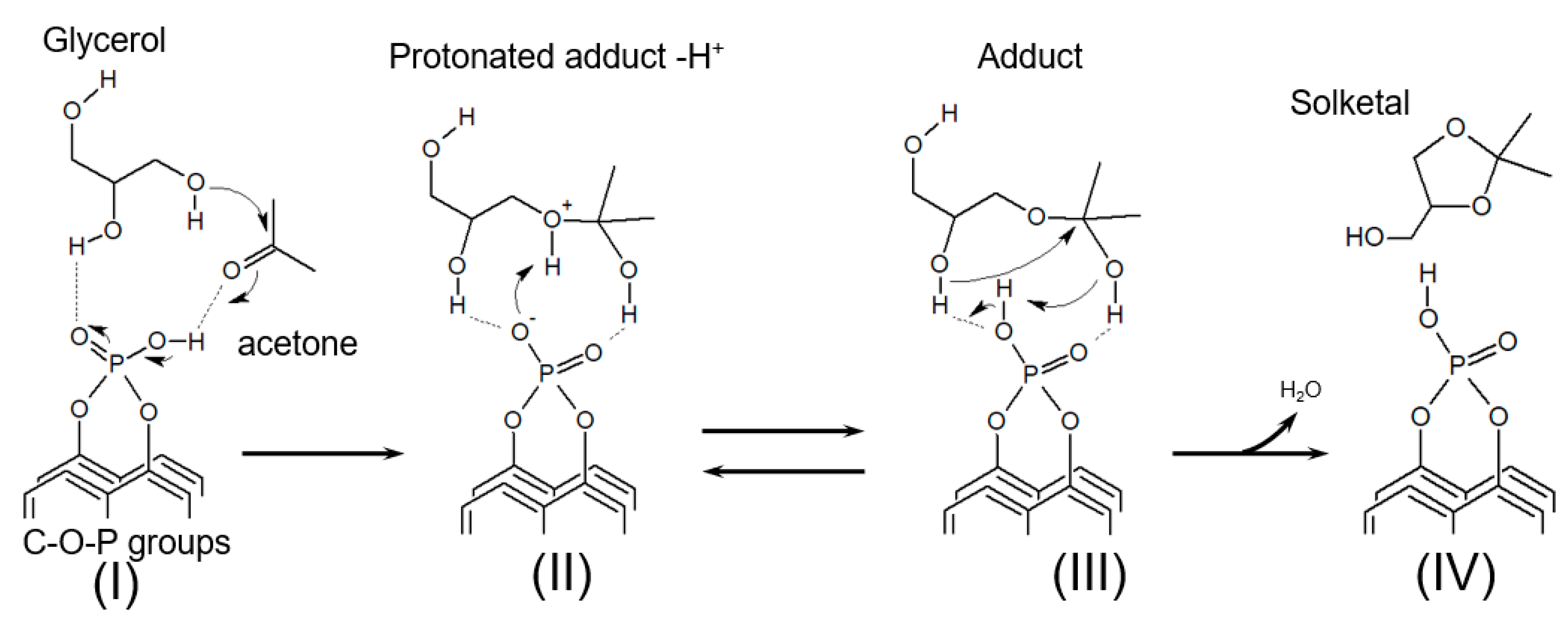 Catalysts 14 00869 sch001