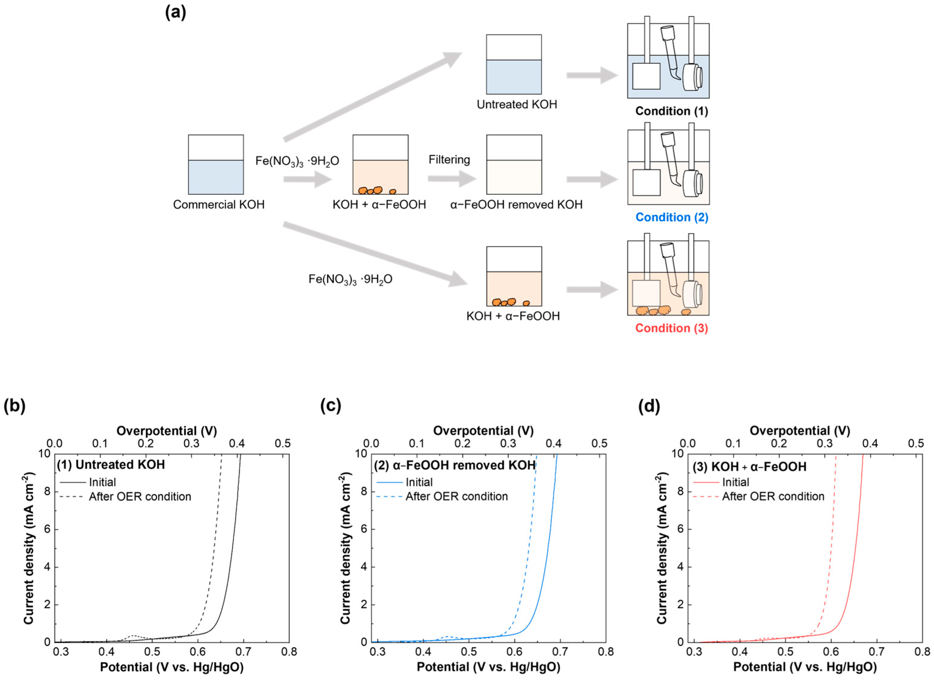 Catalysts 14 00870 g003