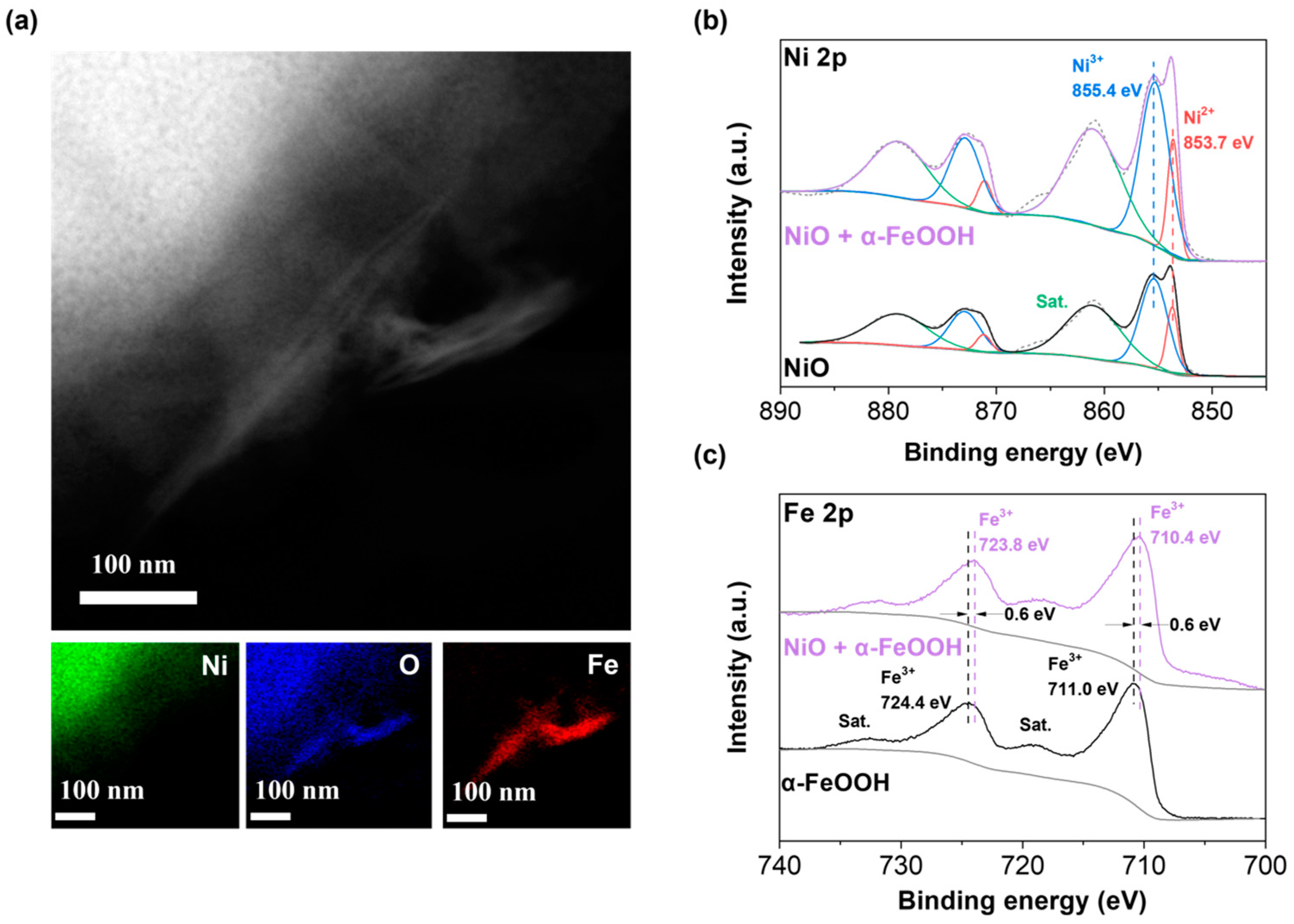 Catalysts 14 00870 g006