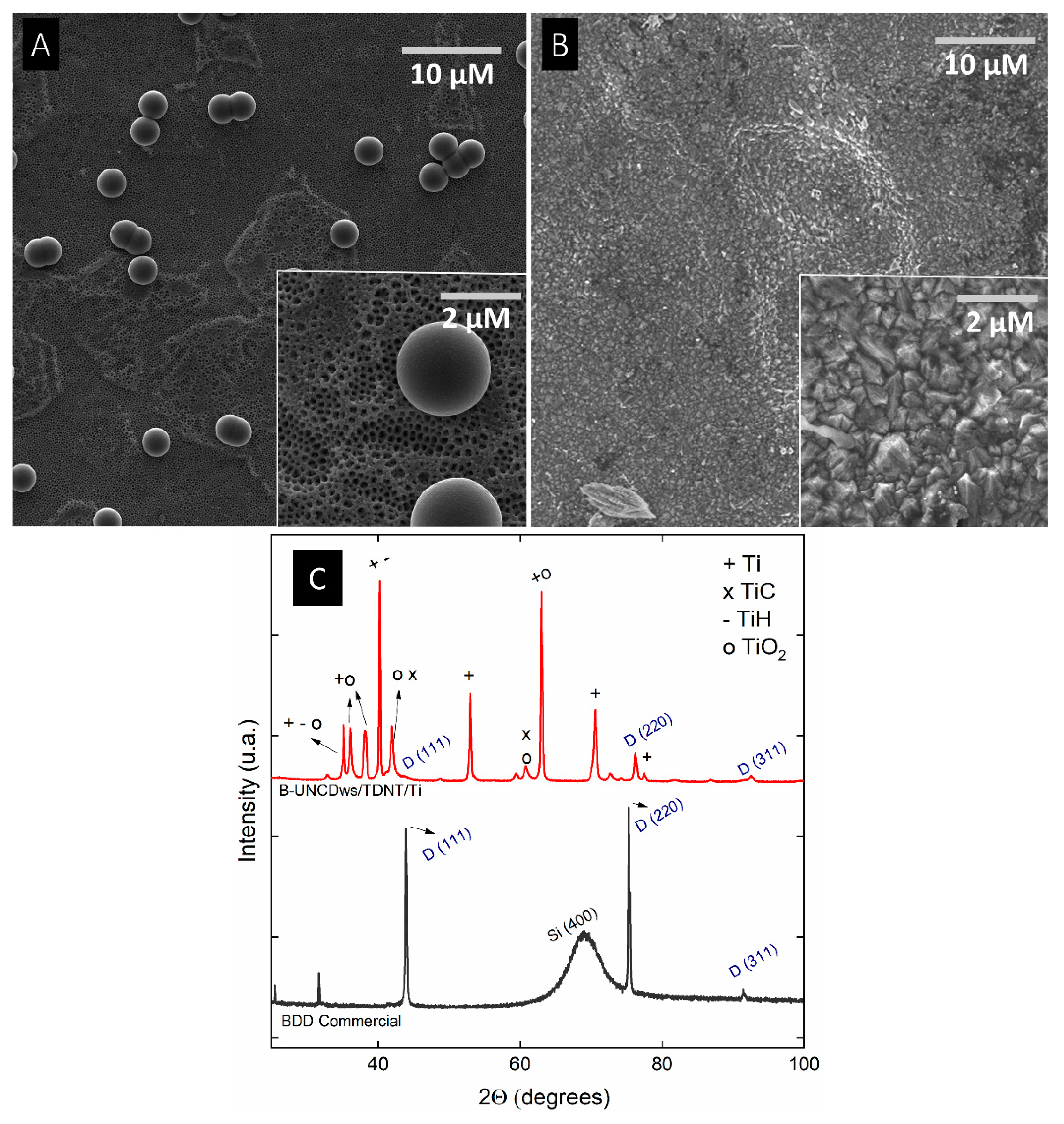 Catalysts 14 00872 g001