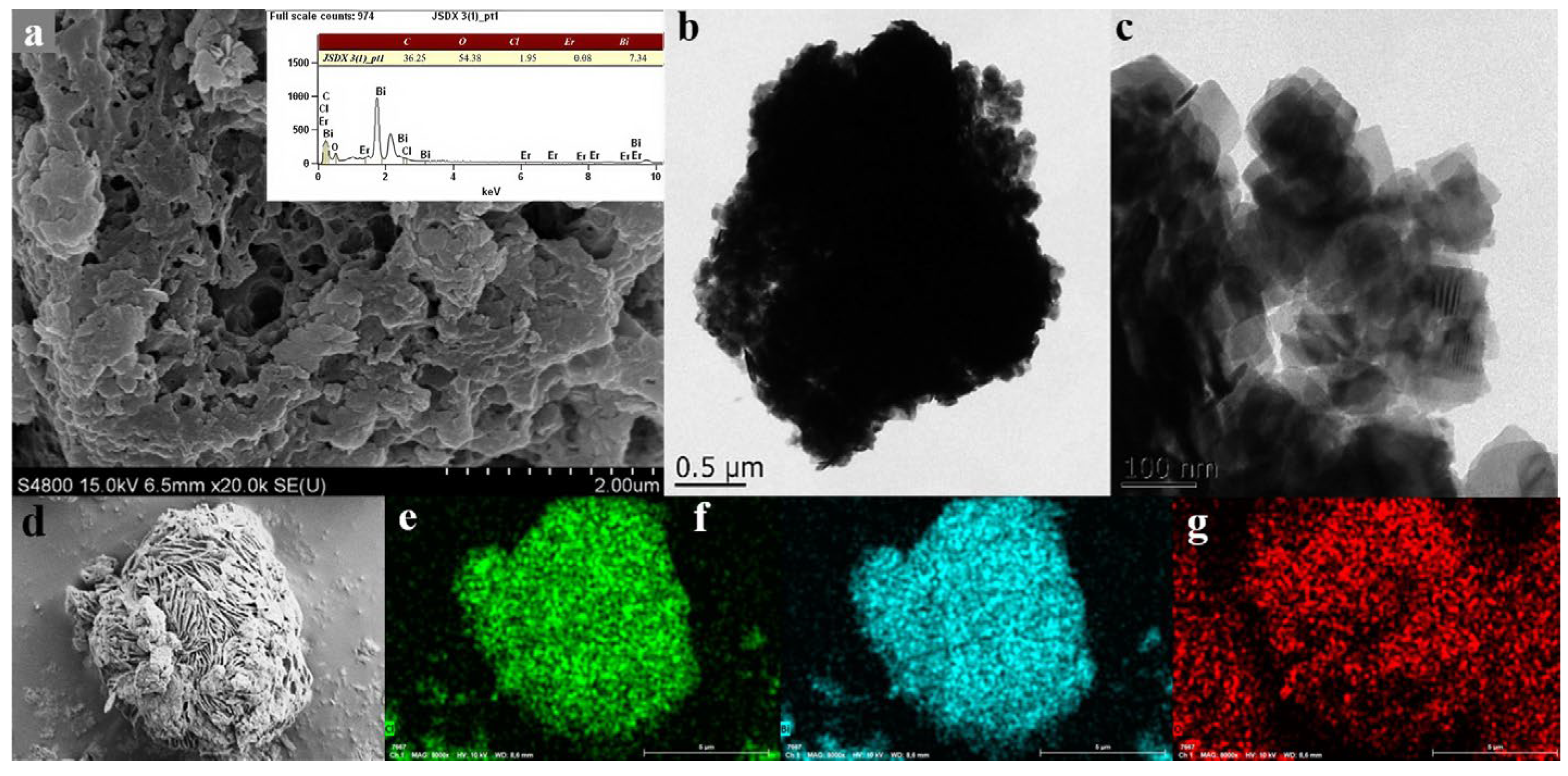 Catalysts 14 00874 g003