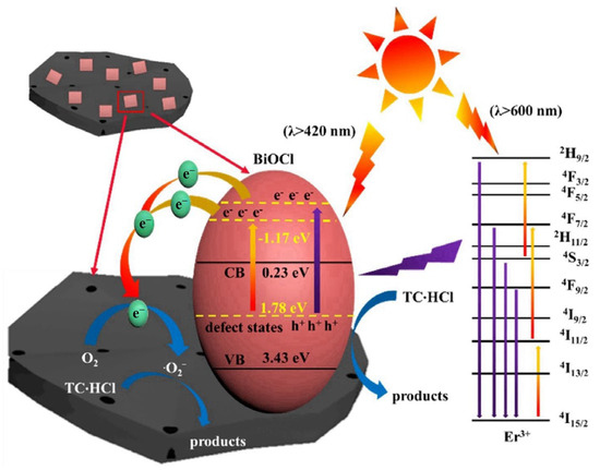 A・Y・A tokyo  japan R-comp Chlorogenic acid reduces inflammation by inhibiting the