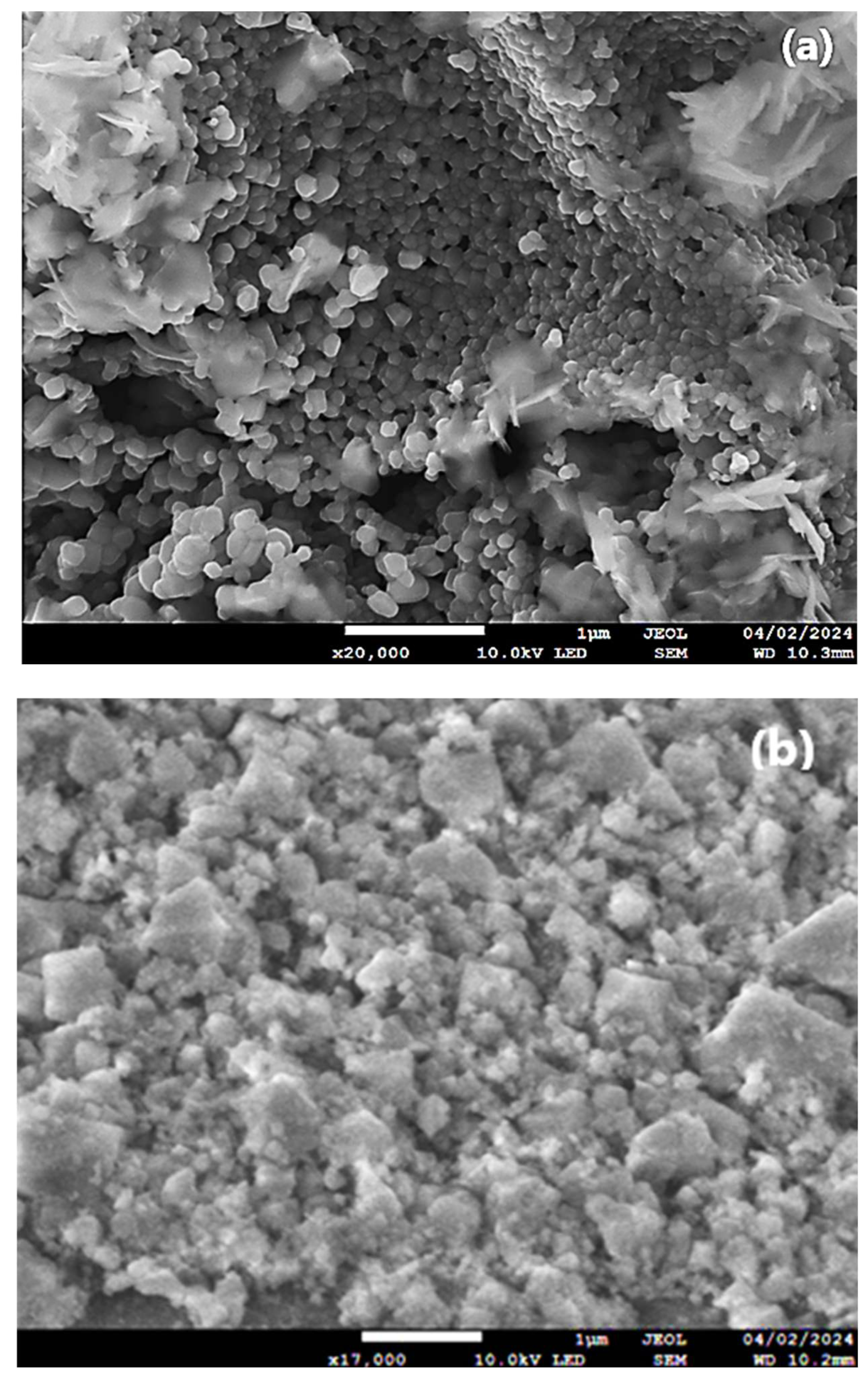 Catalysts 14 00875 g003