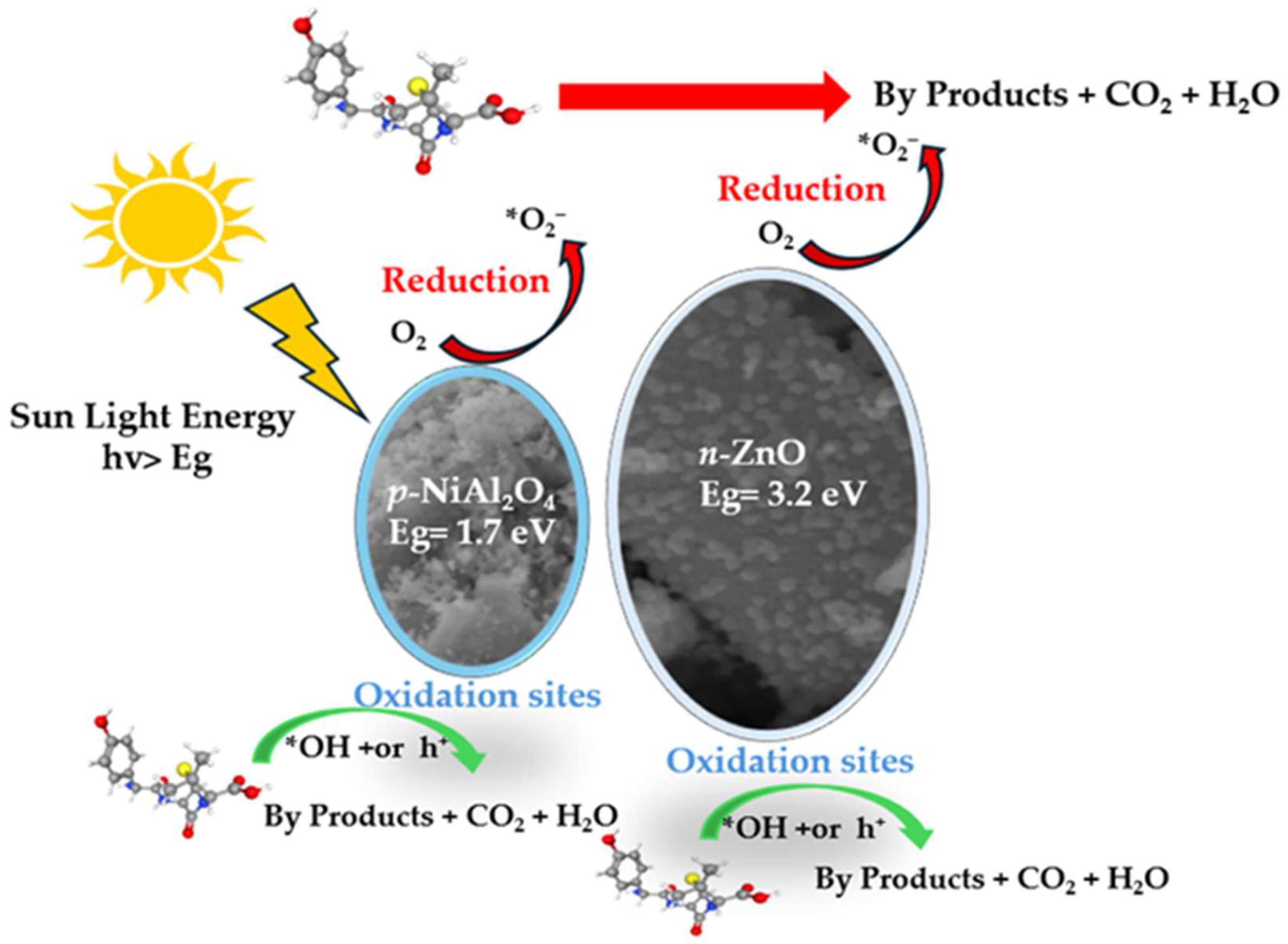 Catalysts 14 00875 g011