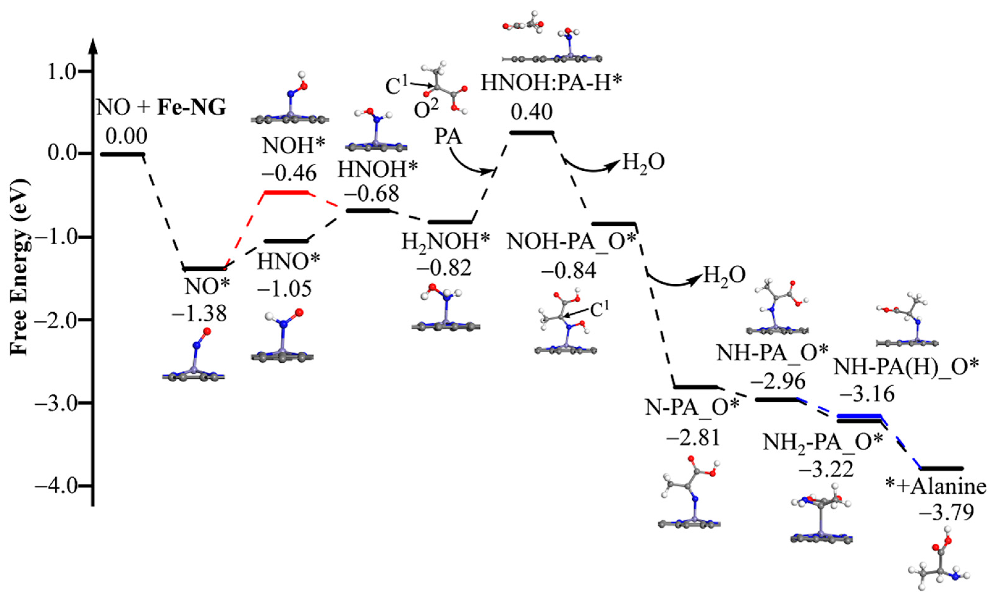 Catalysts 14 00876 g004
