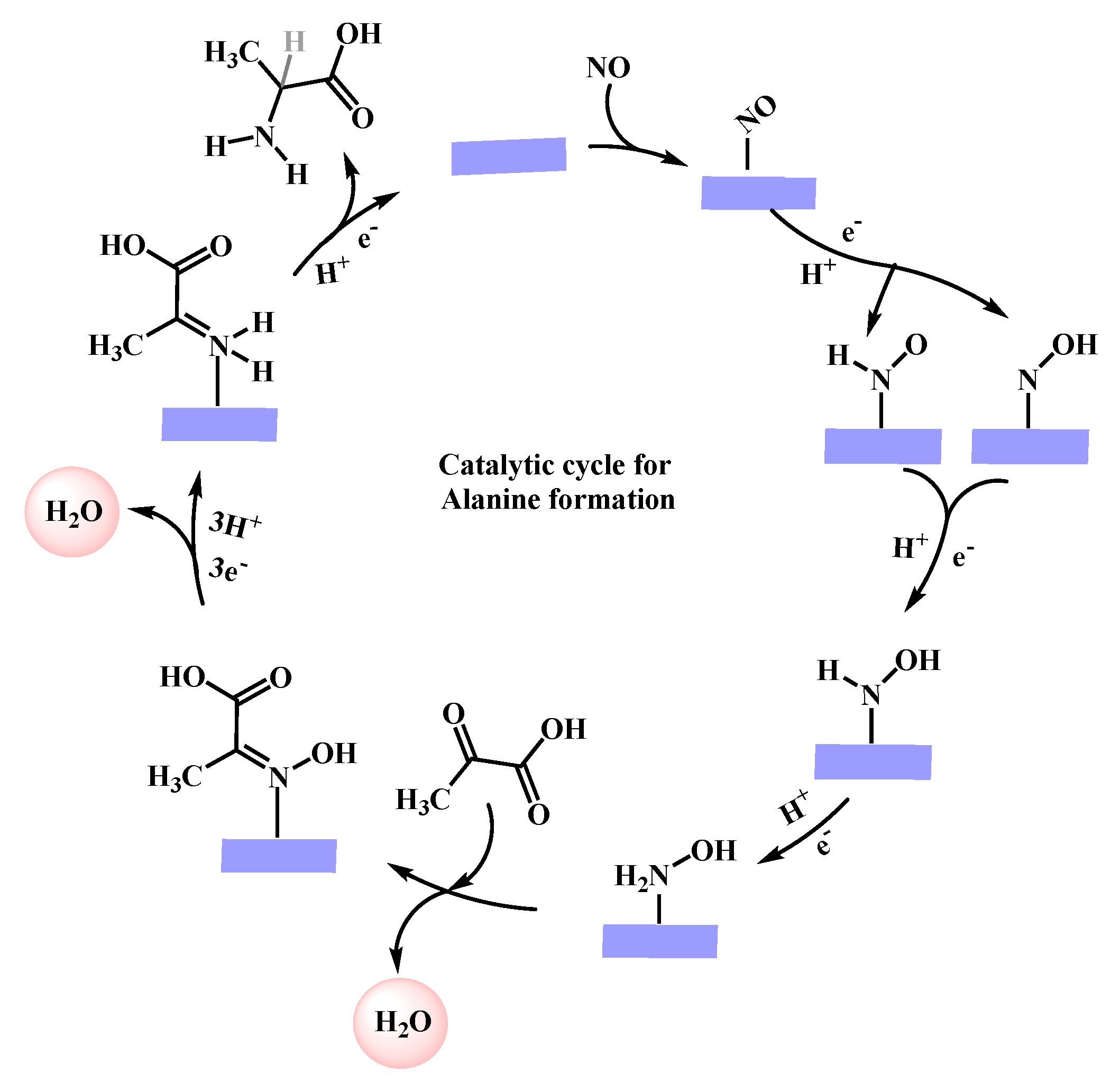 Catalysts 14 00876 sch001