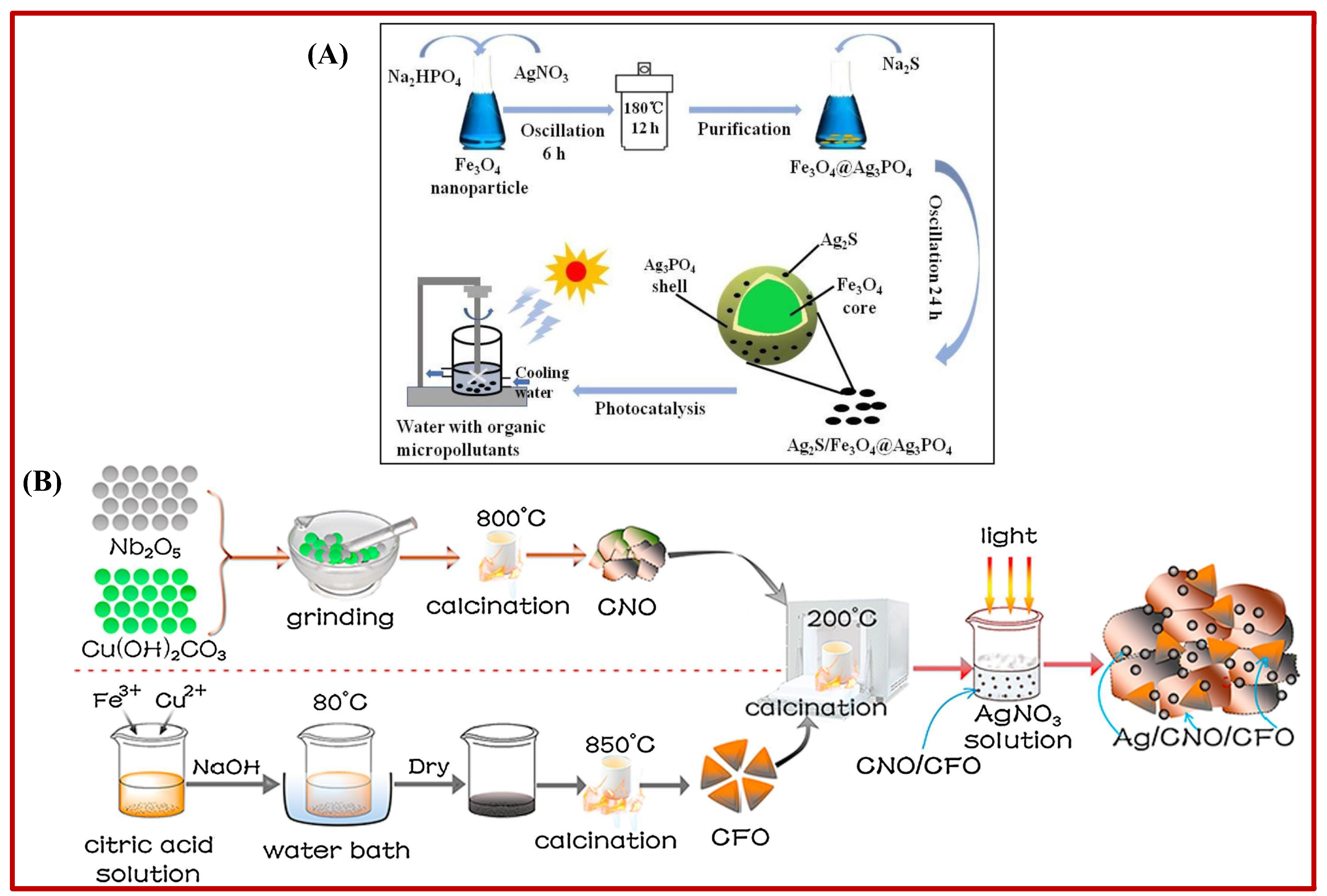 Catalysts 14 00878 g002