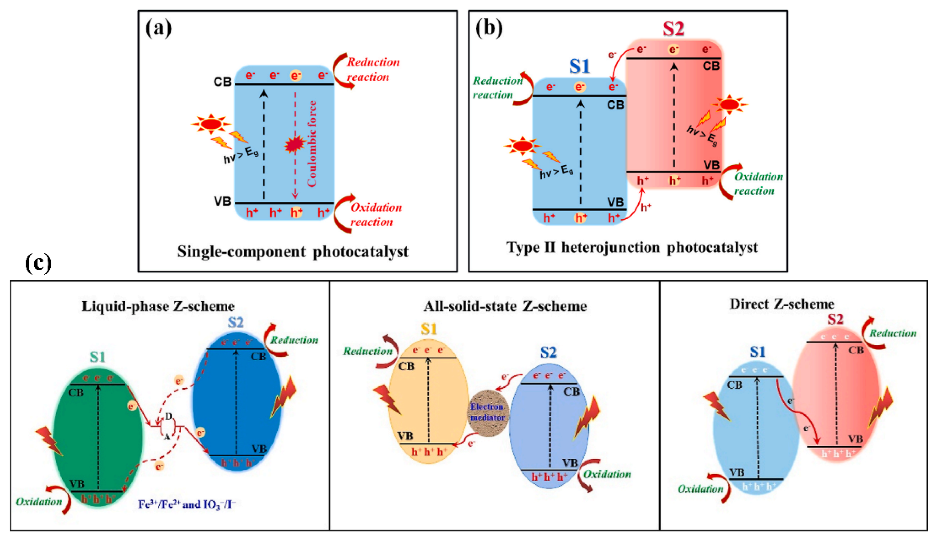Catalysts 14 00878 g006