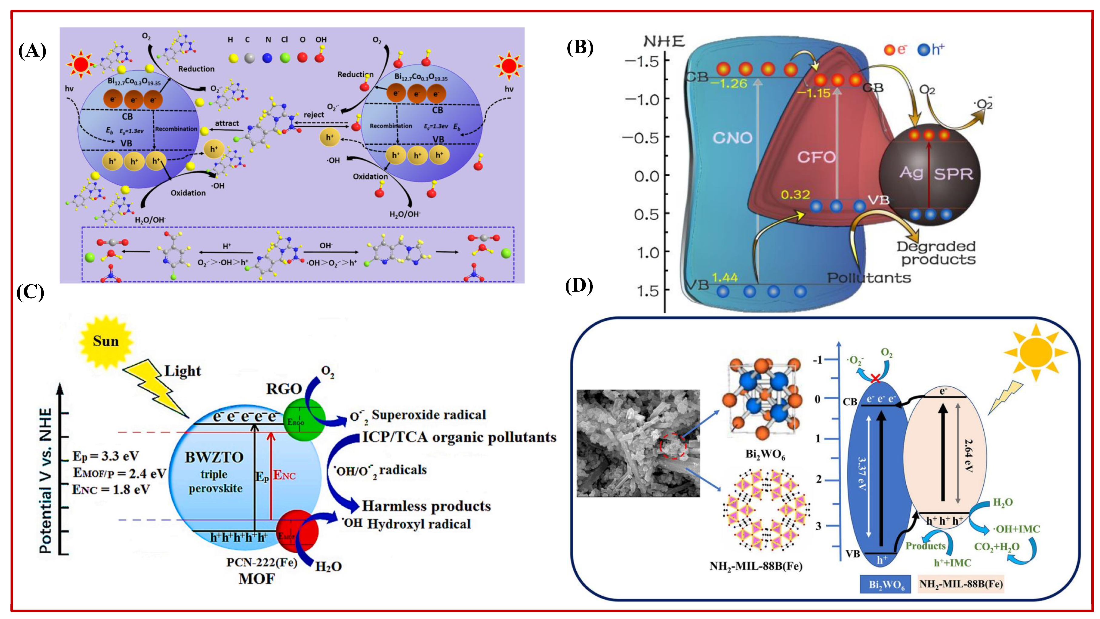 Catalysts 14 00878 g007