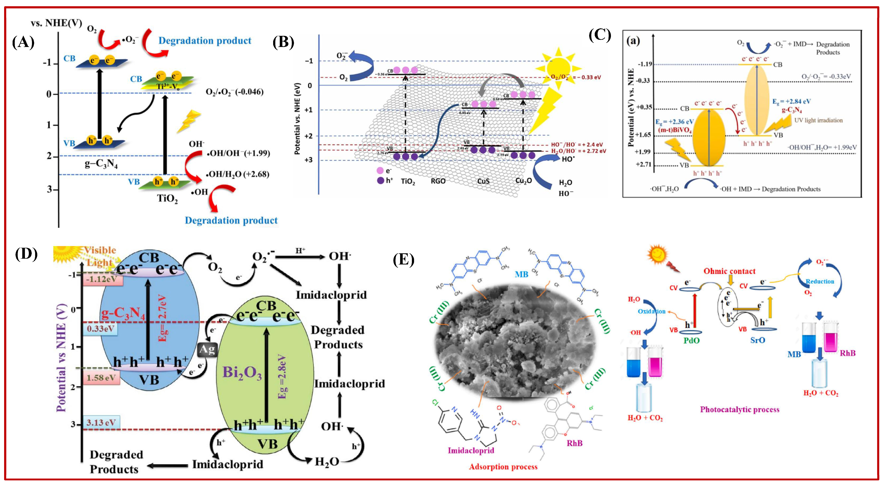 Catalysts 14 00878 g008