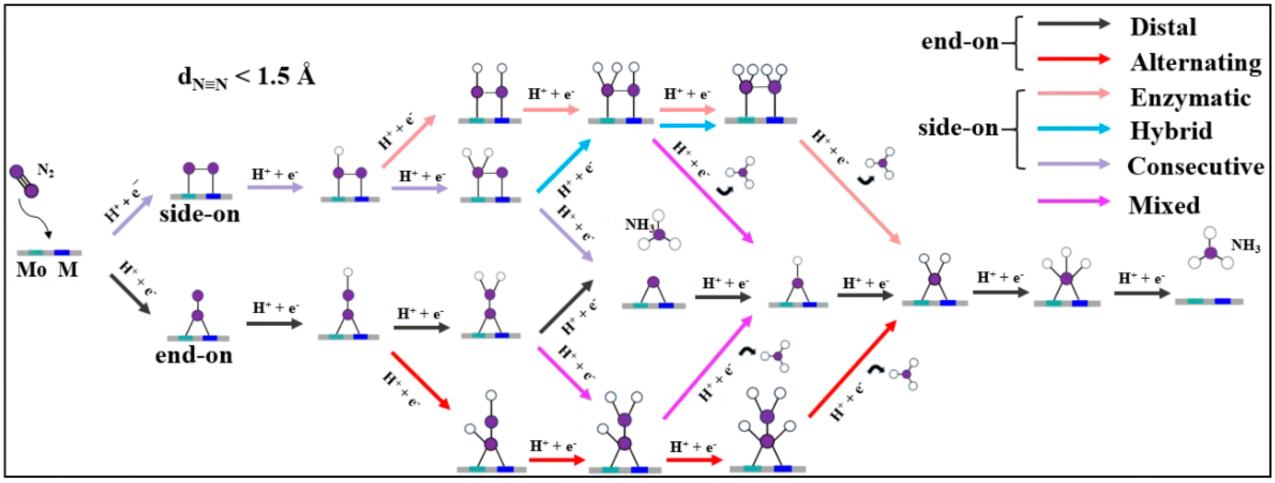 Catalysts 14 00879 g003