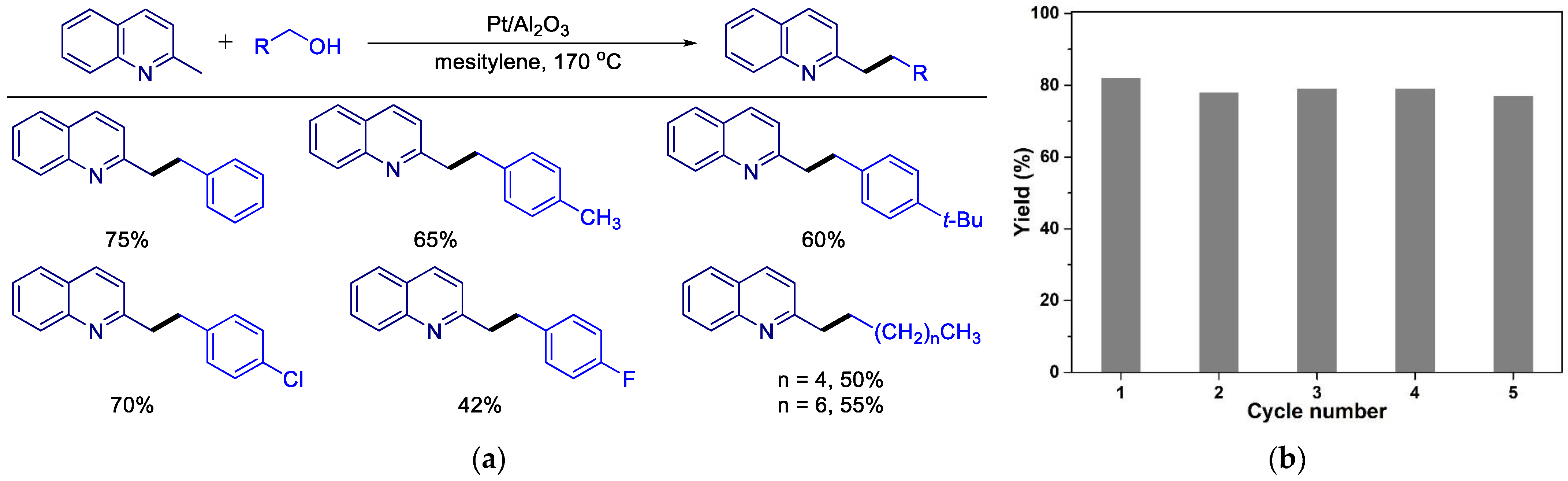 Catalysts 14 00881 g002