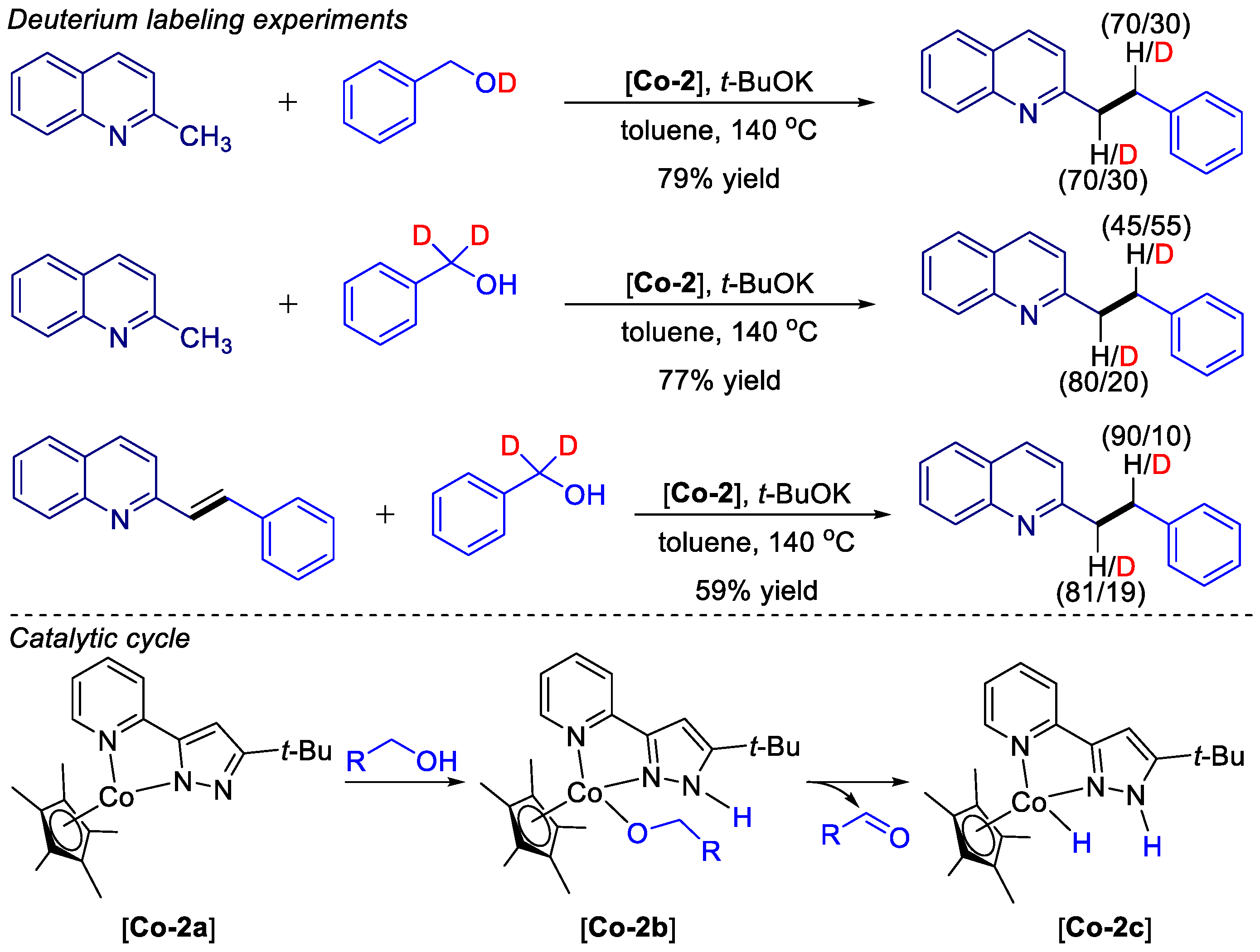 Catalysts 14 00881 sch015