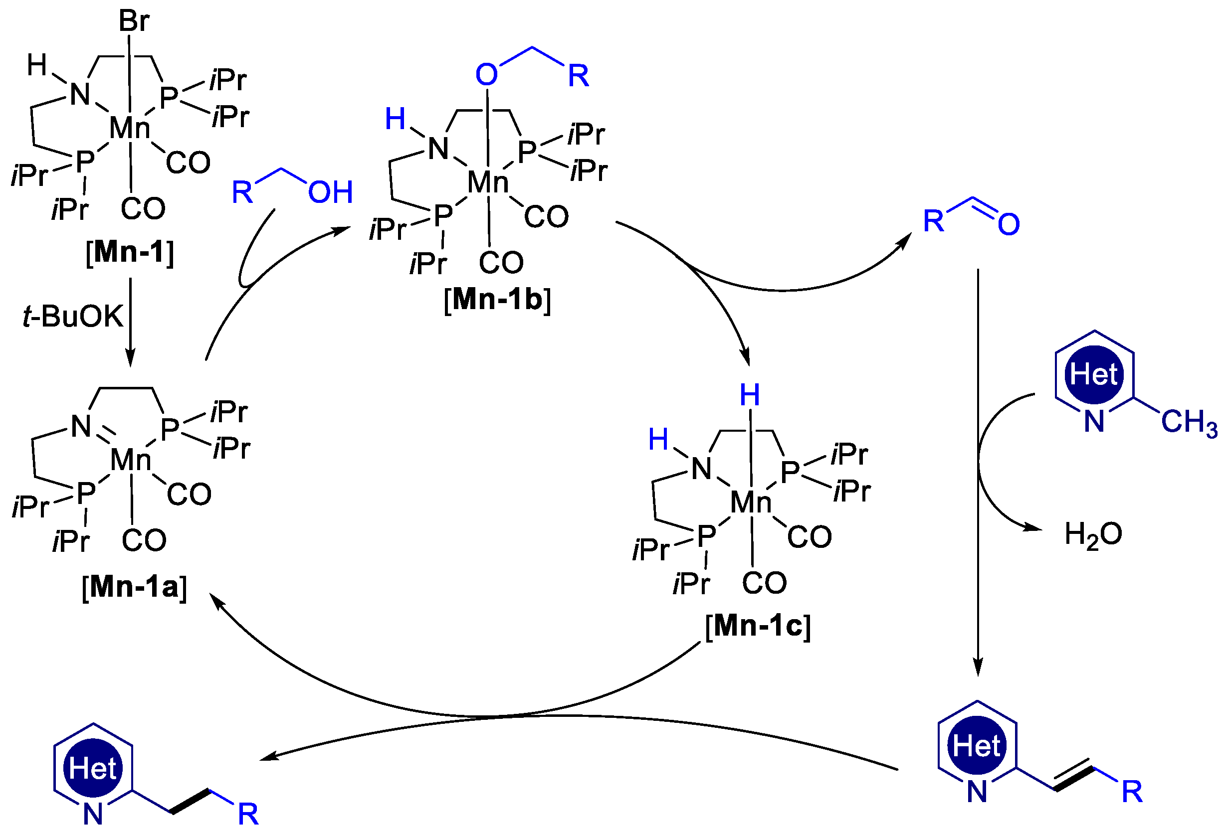 Catalysts 14 00881 sch018