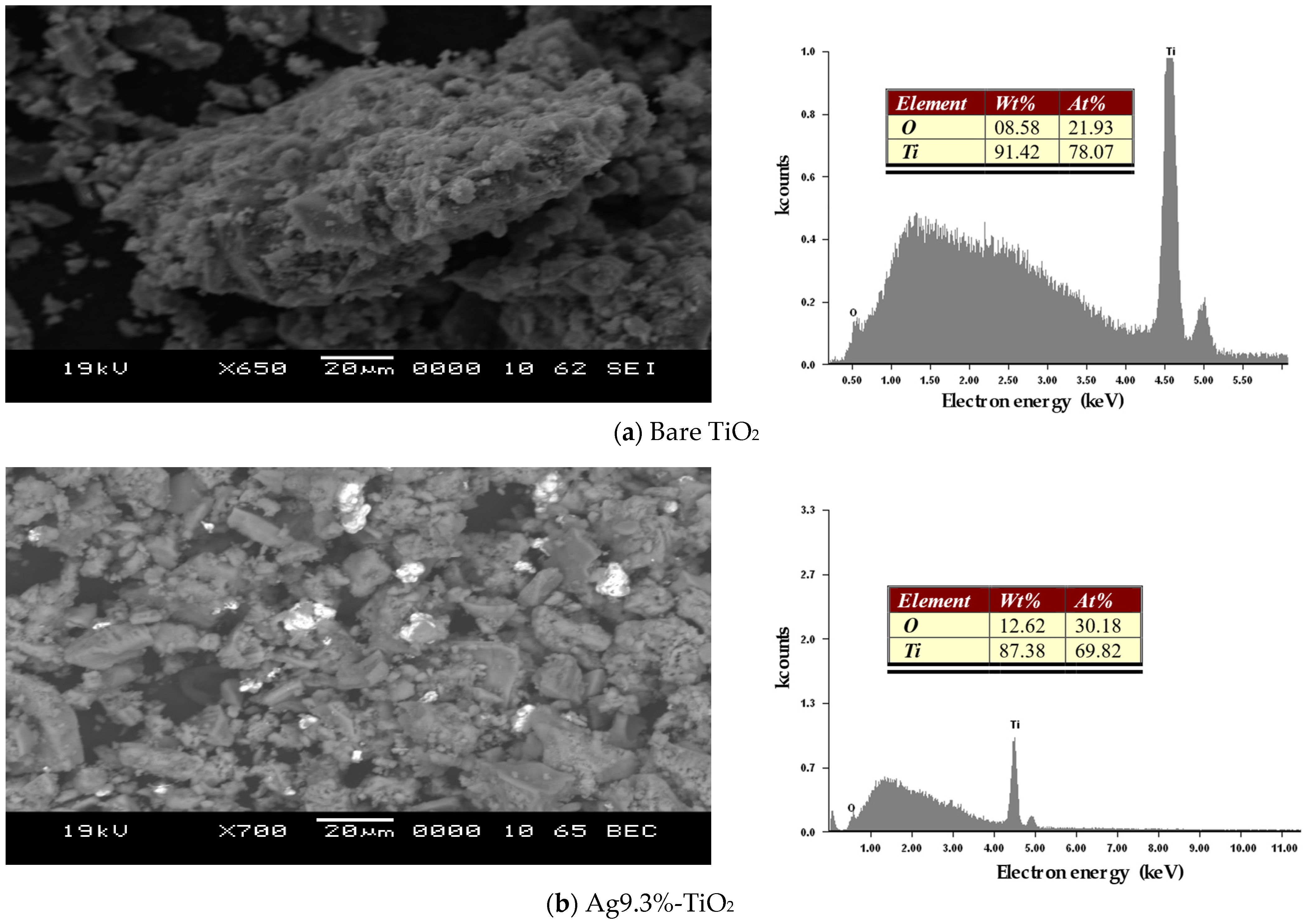 Catalysts 14 00883 g004a