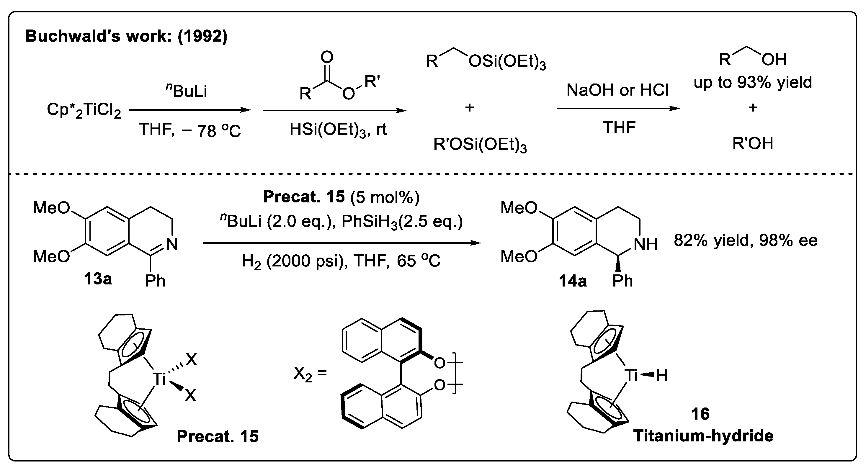 Catalysts 14 00884 sch002 Catalysts 14 00884 sch002