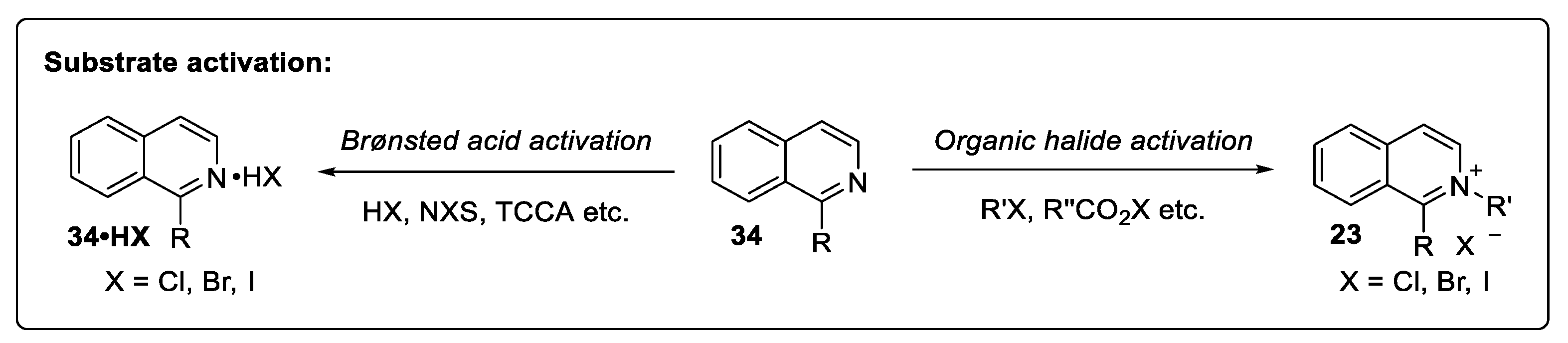 Catalysts 14 00884 sch014 Catalysts 14 00884 sch014