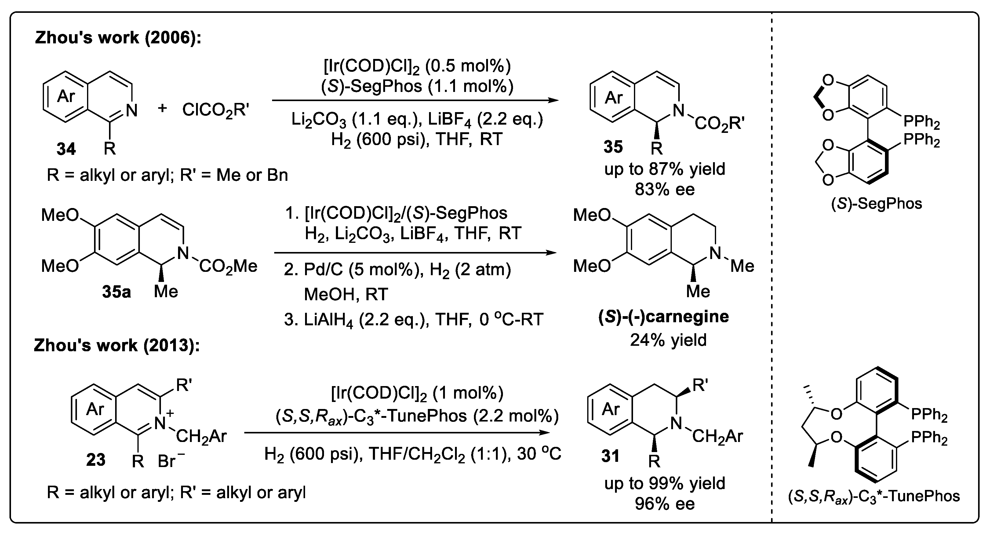 Catalysts 14 00884 sch015 Catalysts 14 00884 sch015