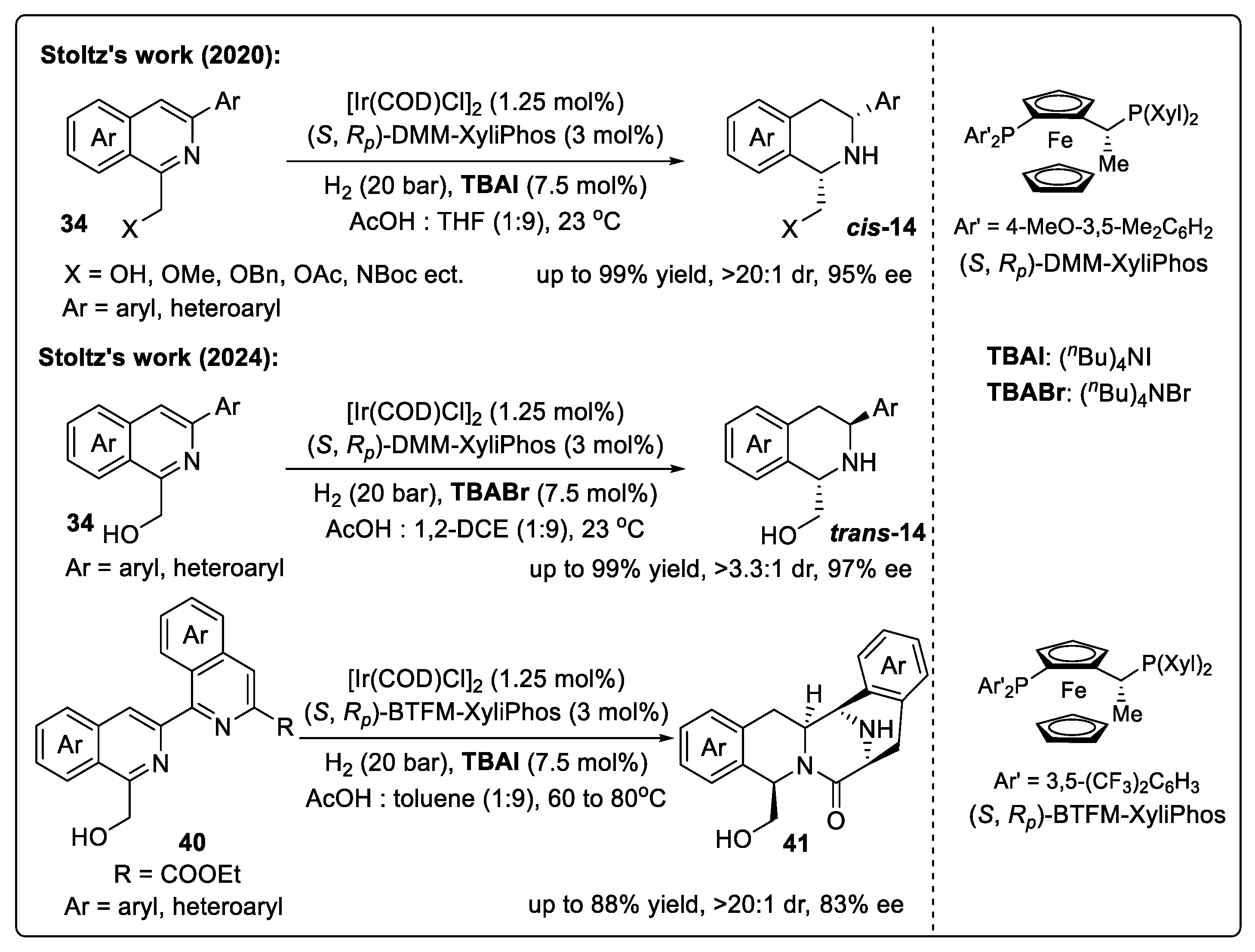 Catalysts 14 00884 sch018 Catalysts 14 00884 sch018