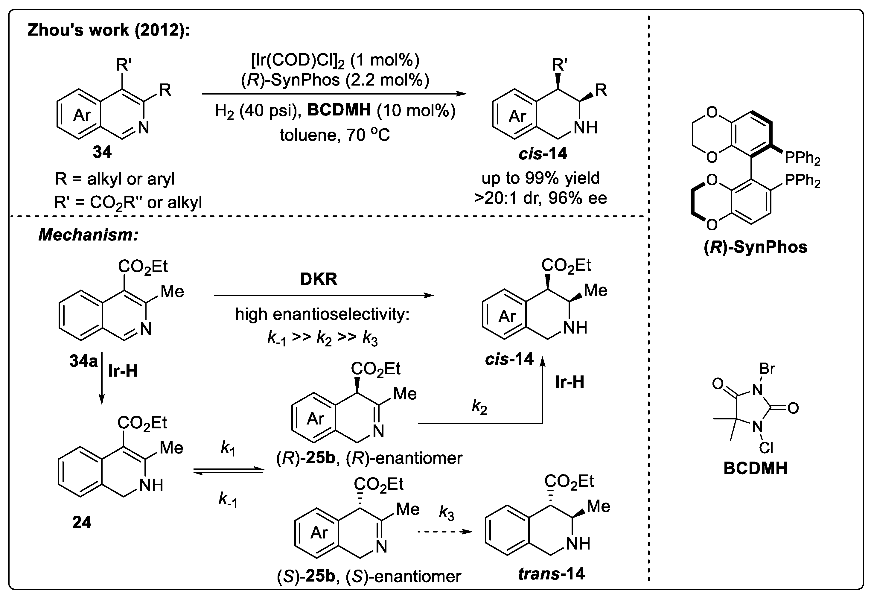 Catalysts 14 00884 sch019 Catalysts 14 00884 sch019