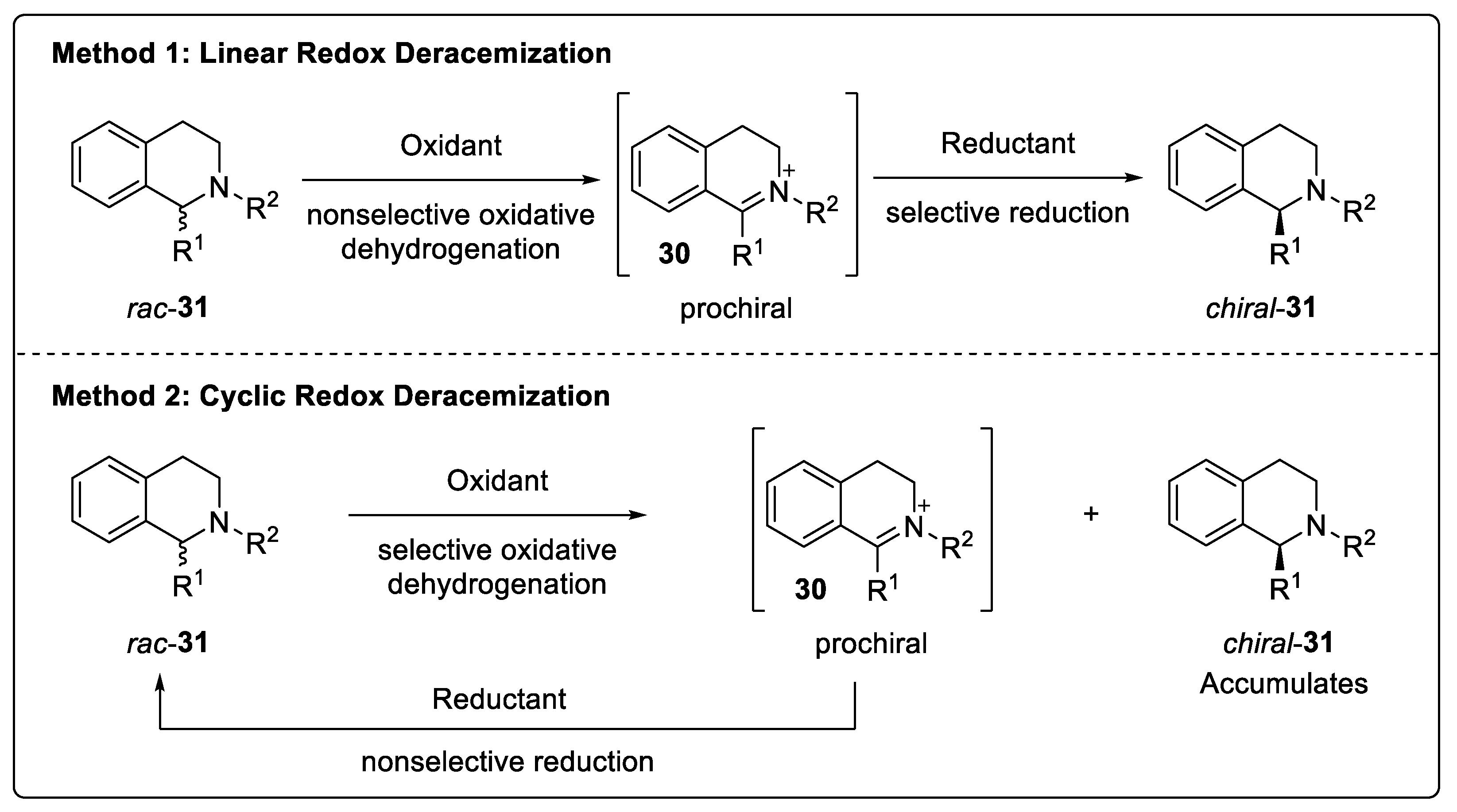 Catalysts 14 00884 sch032 Catalysts 14 00884 sch032