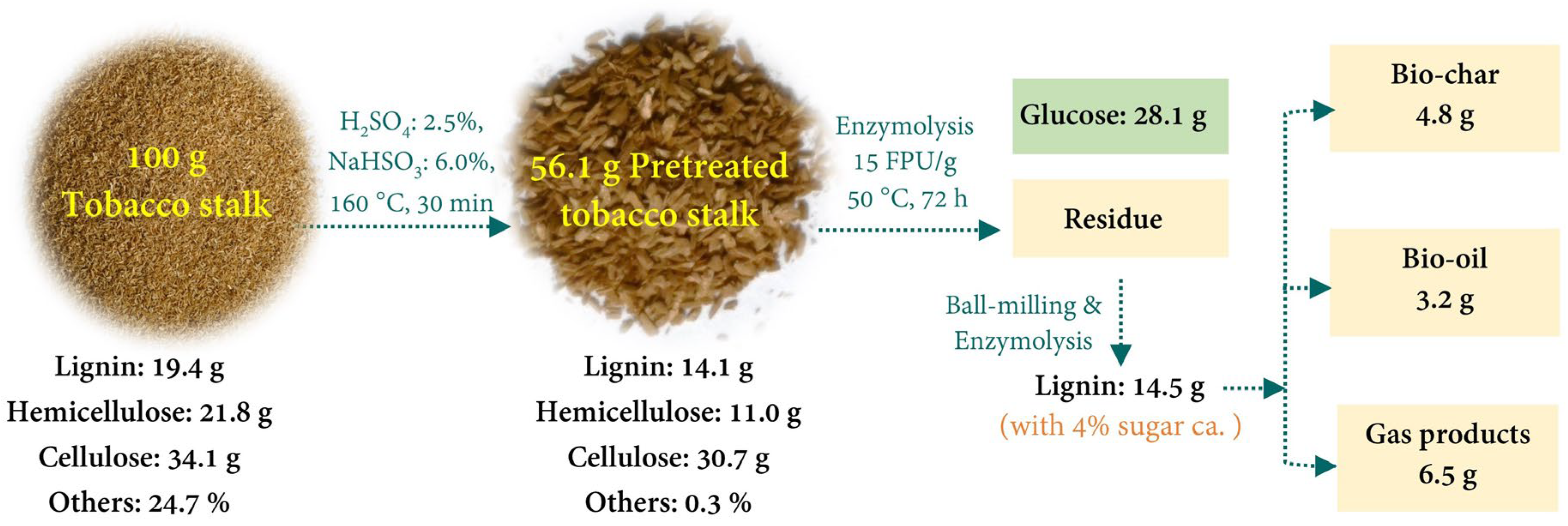 Catalysts 14 00889 g007