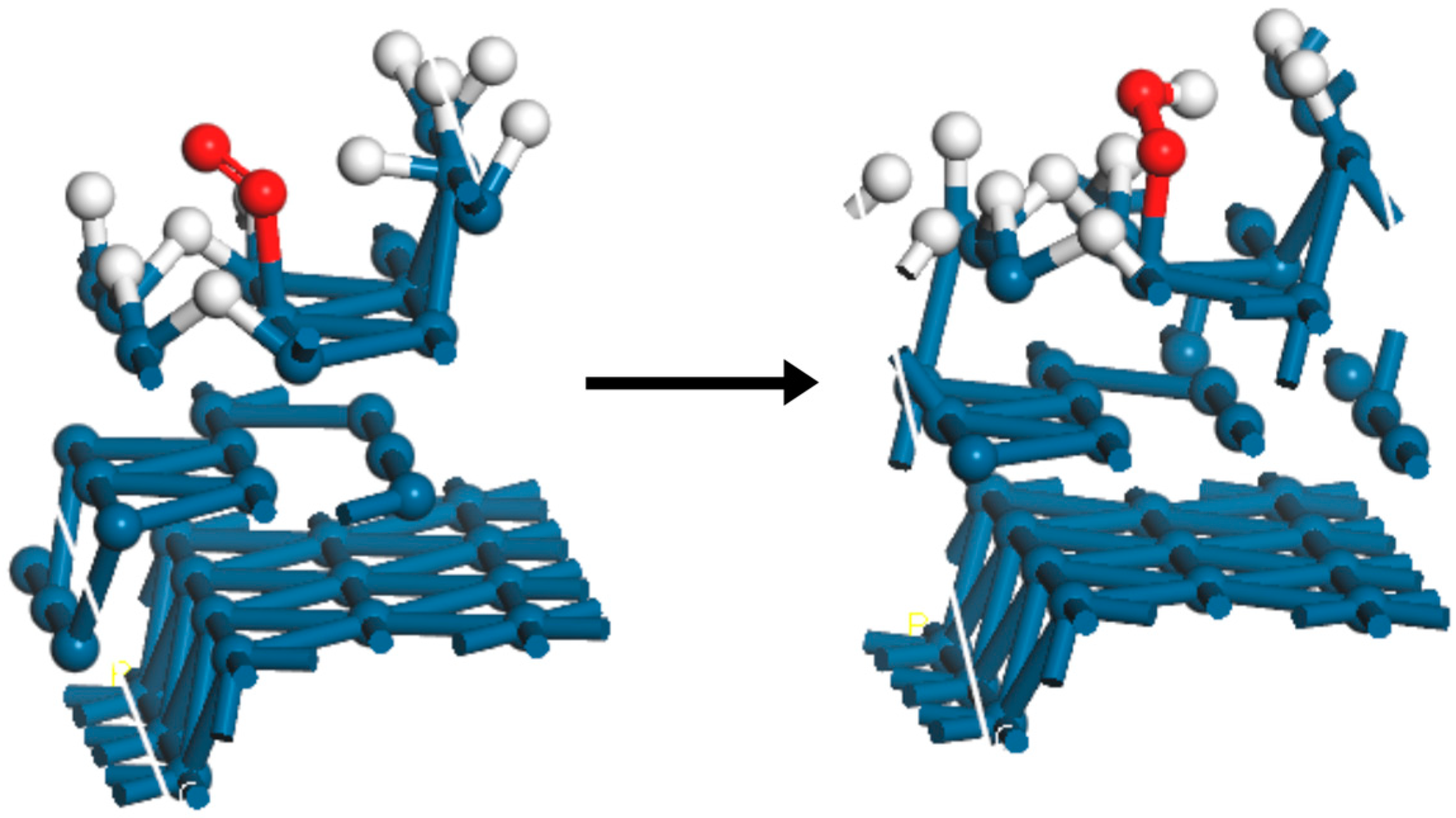 Catalysts 14 00890 g005