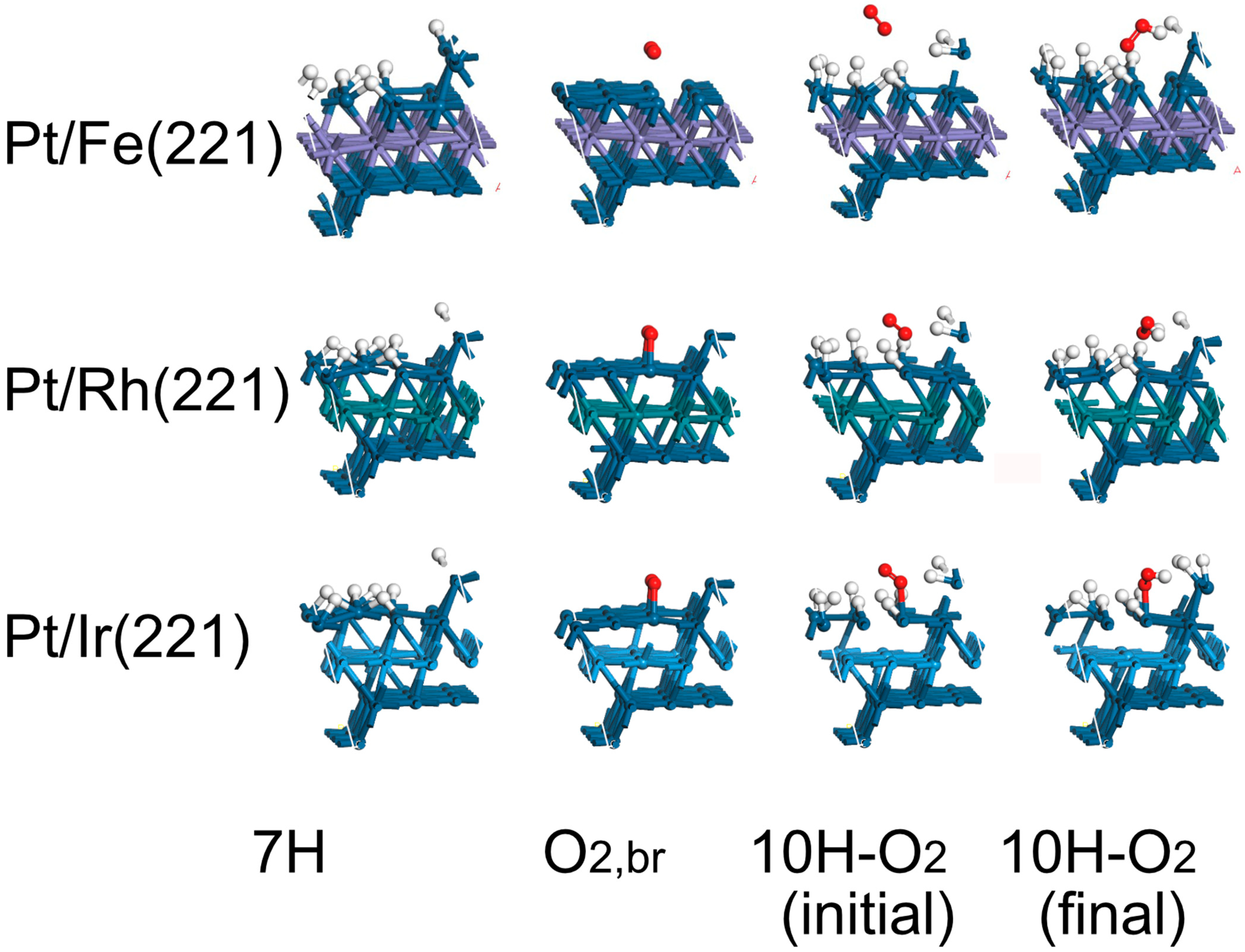 Catalysts 14 00890 g008