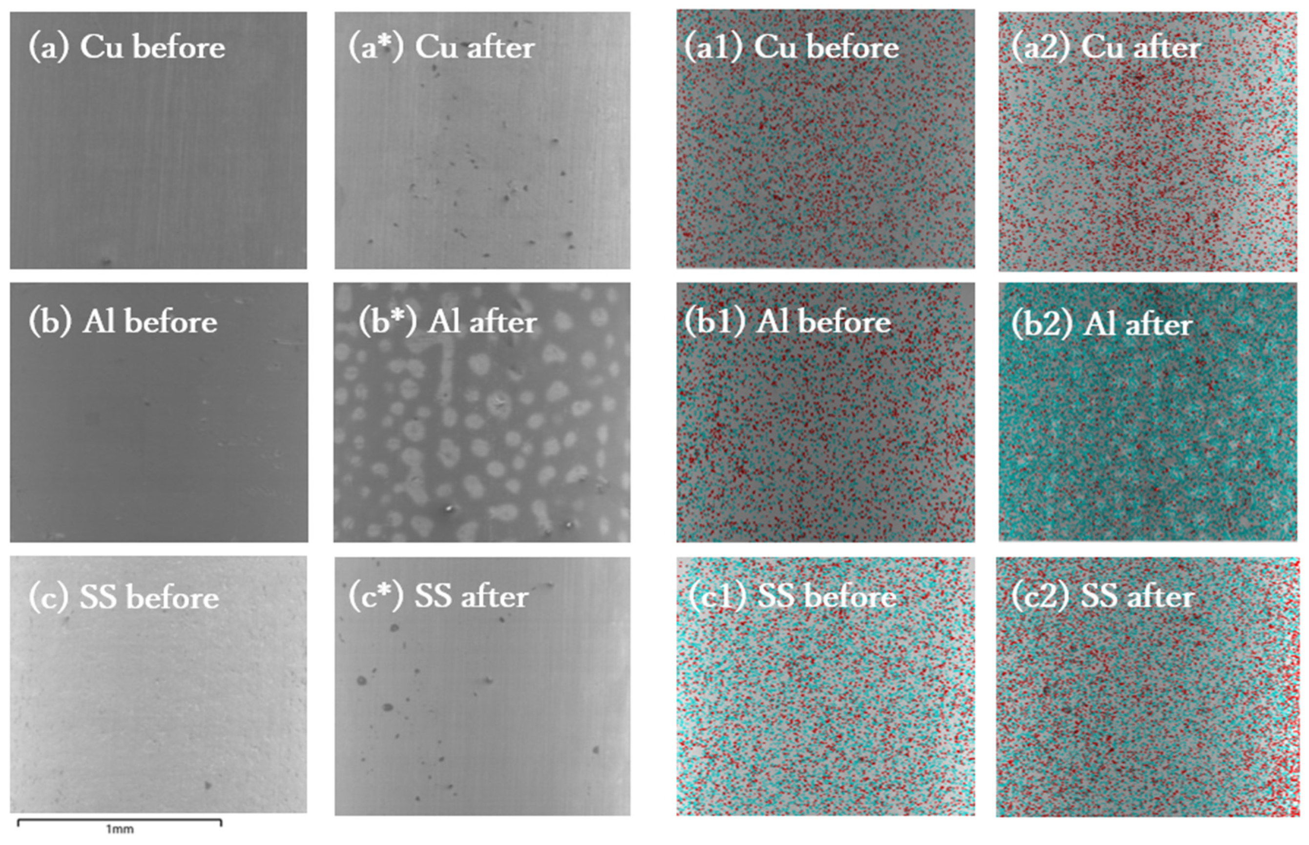 Catalysts 14 00891 g004