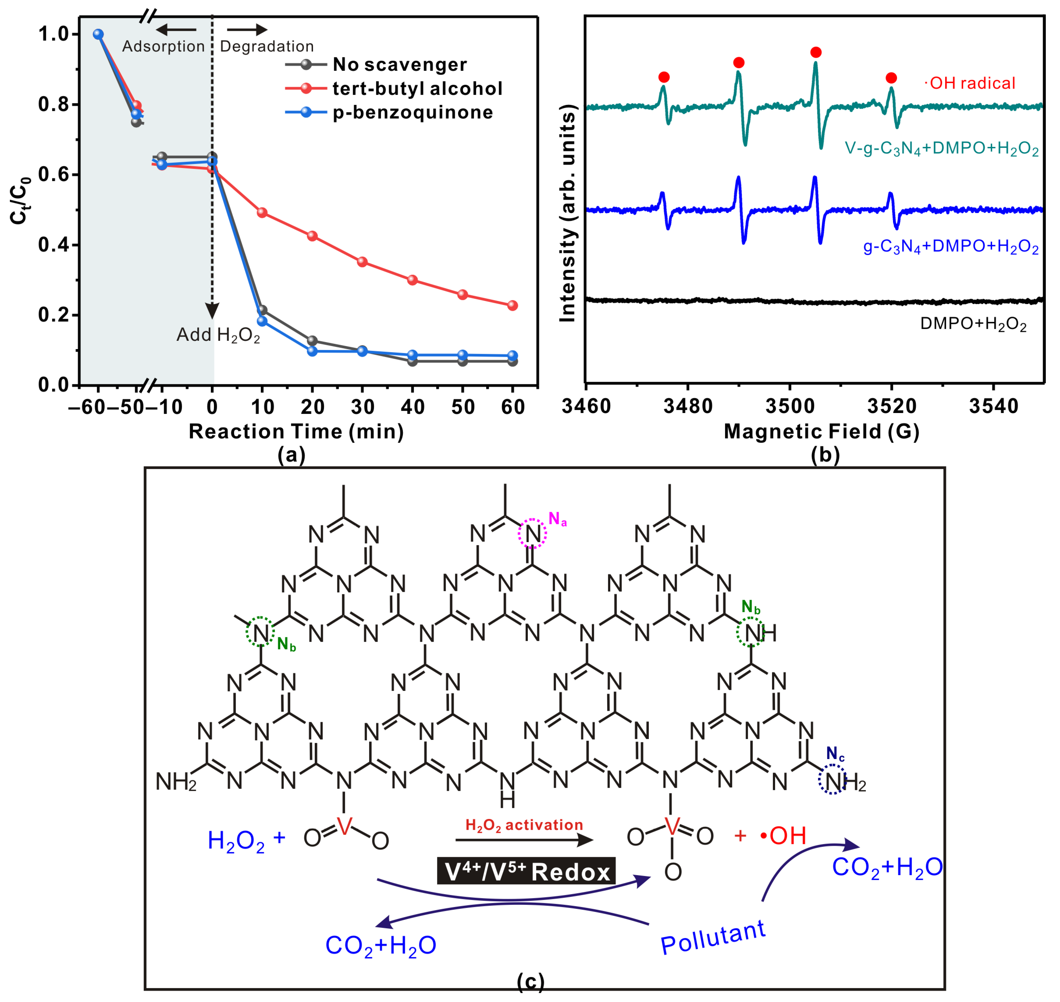 Catalysts 14 00892 g005