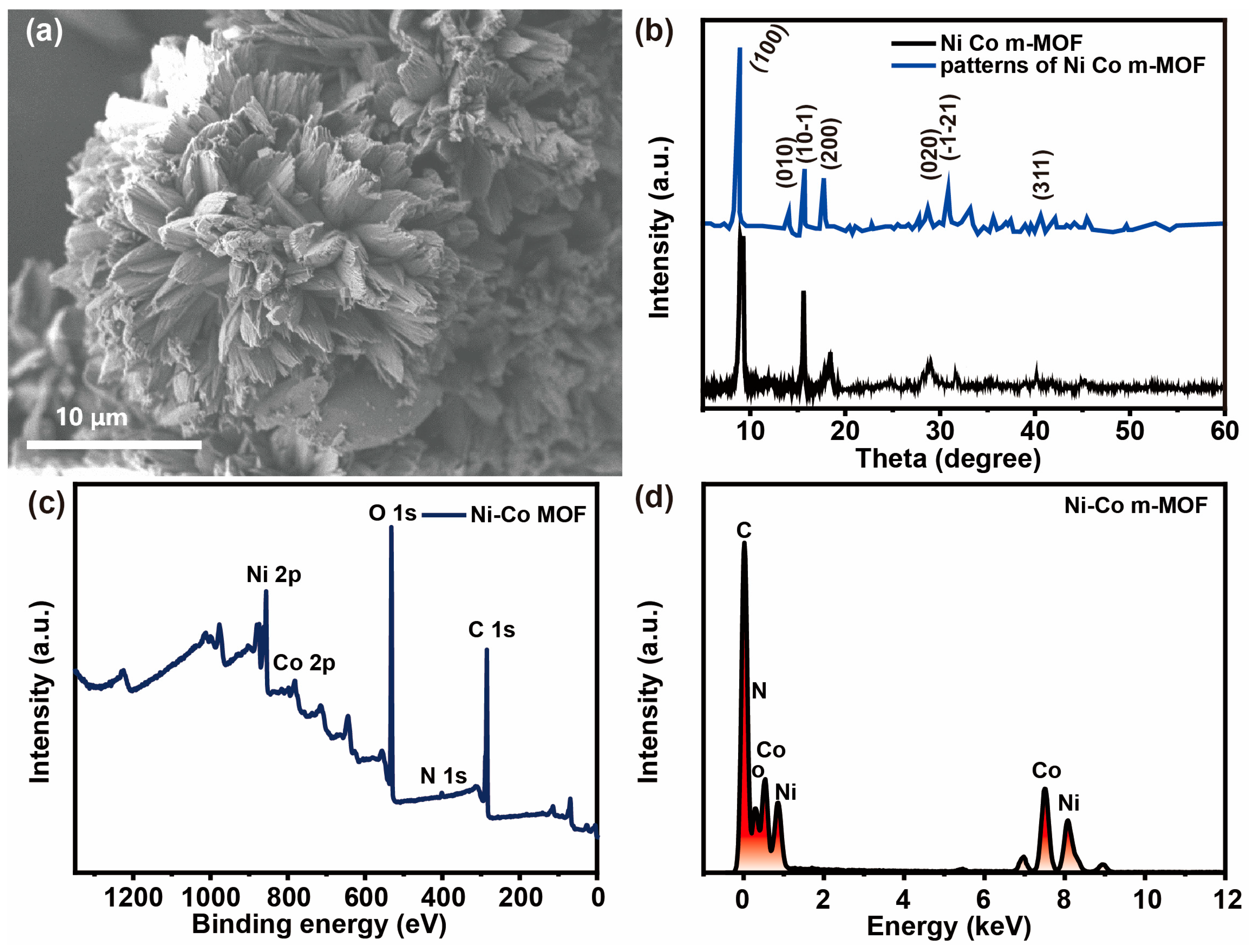 Catalysts 14 00895 g001