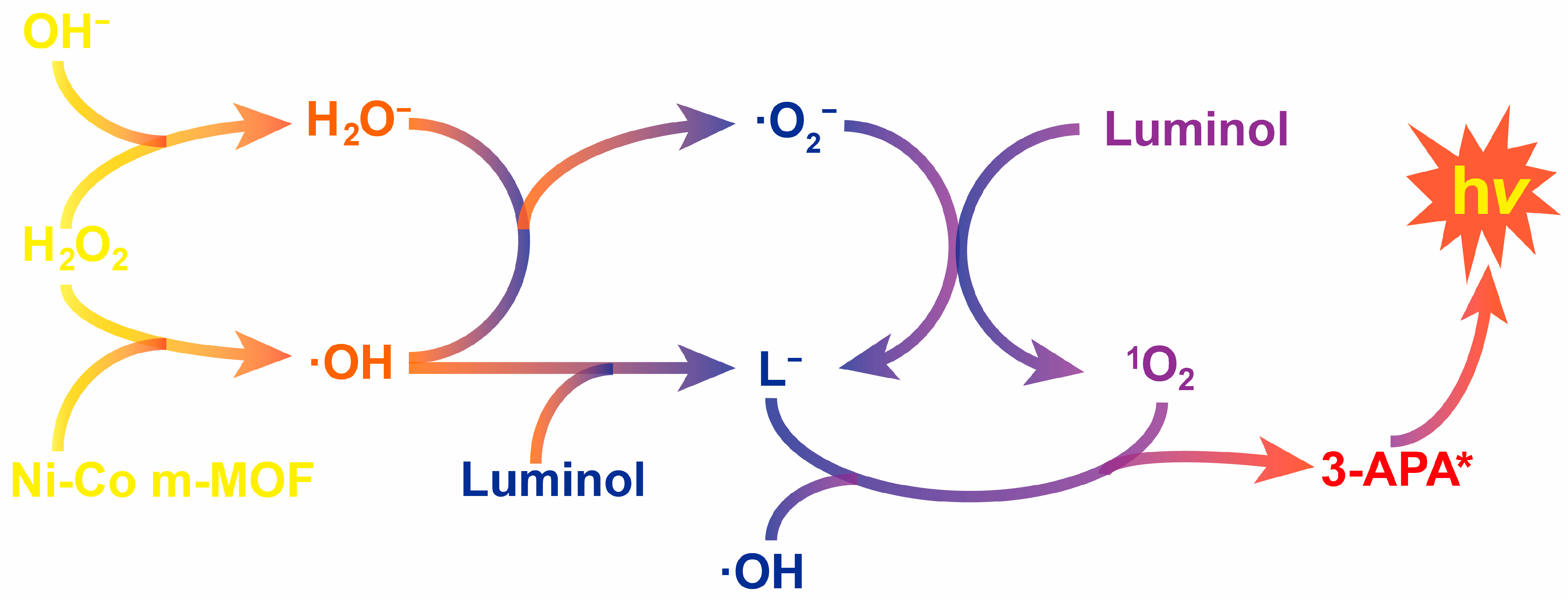 Catalysts 14 00895 g006