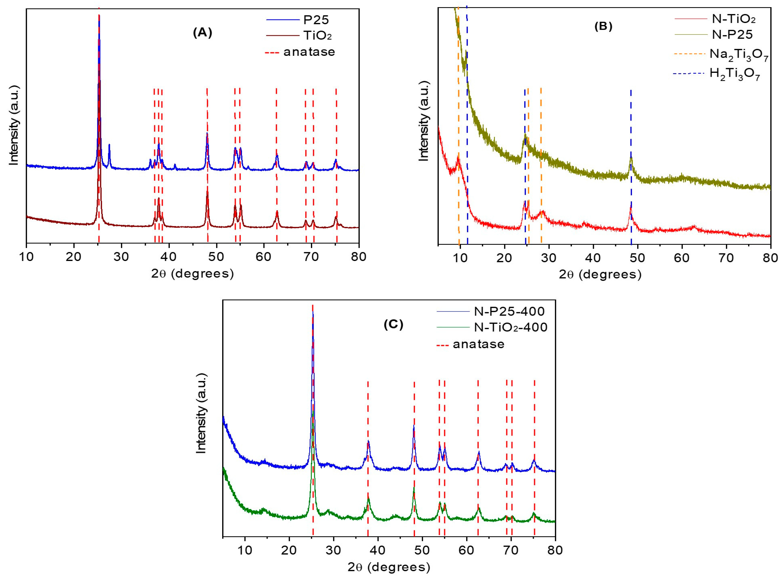Catalysts 14 00896 g001