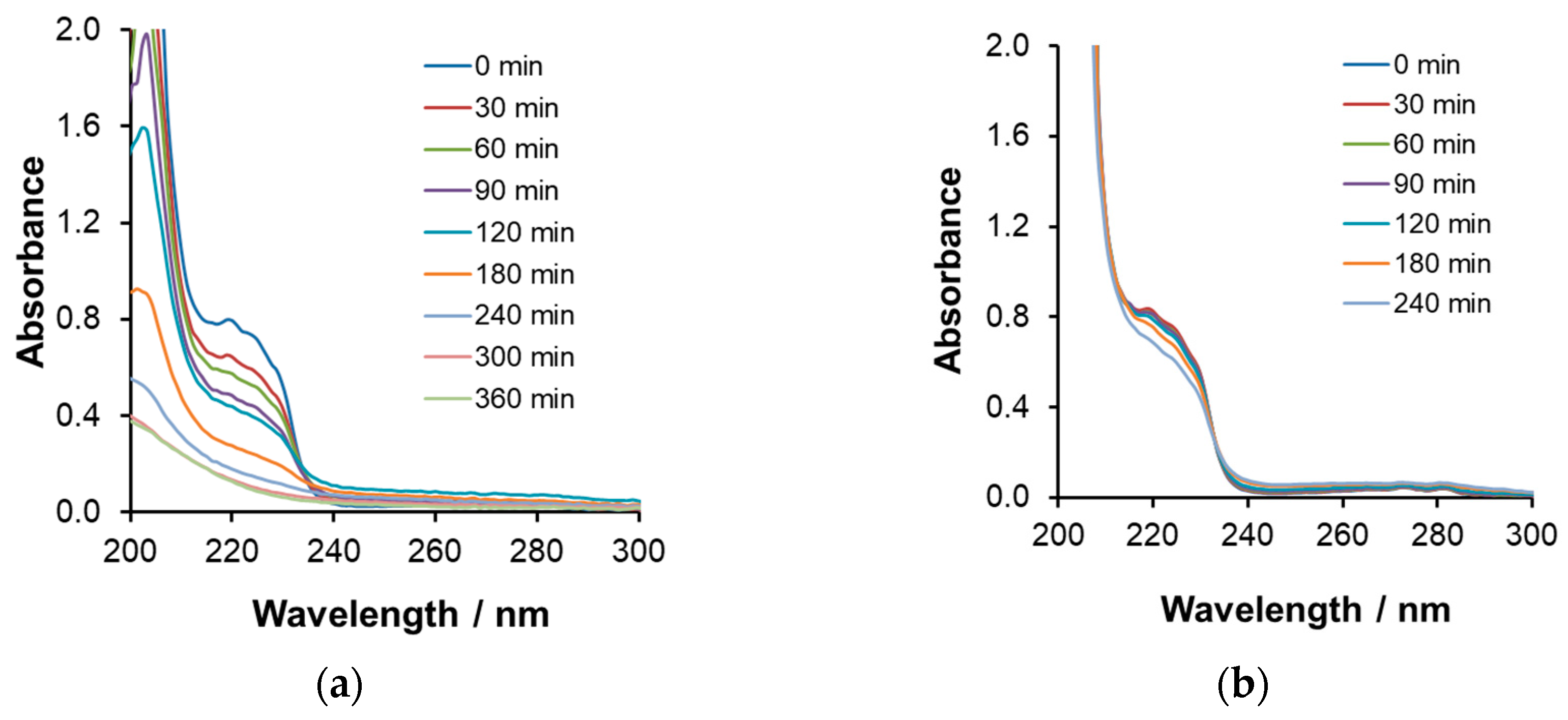 Catalysts 14 00898 g012
