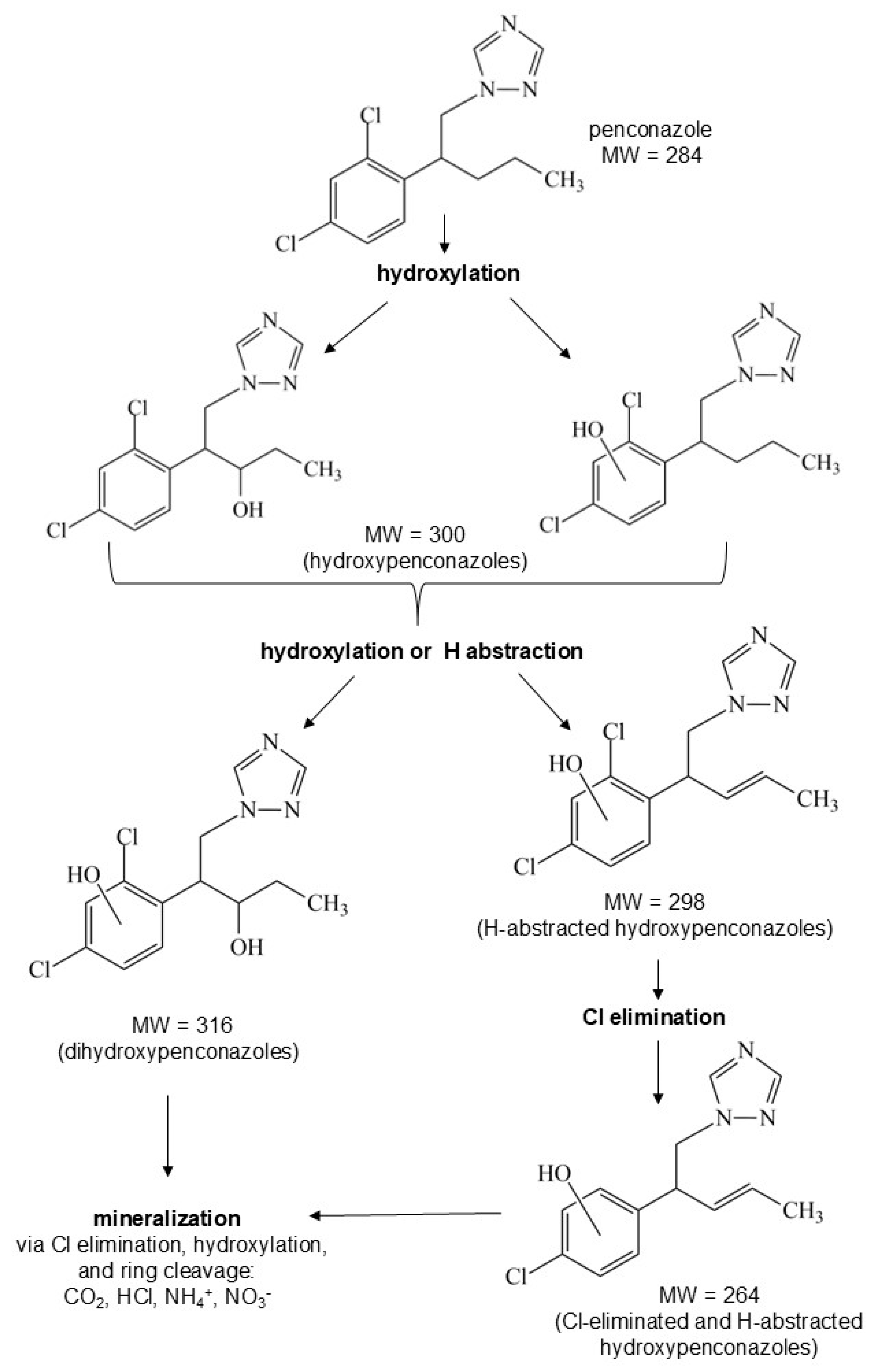 Catalysts 14 00898 g016