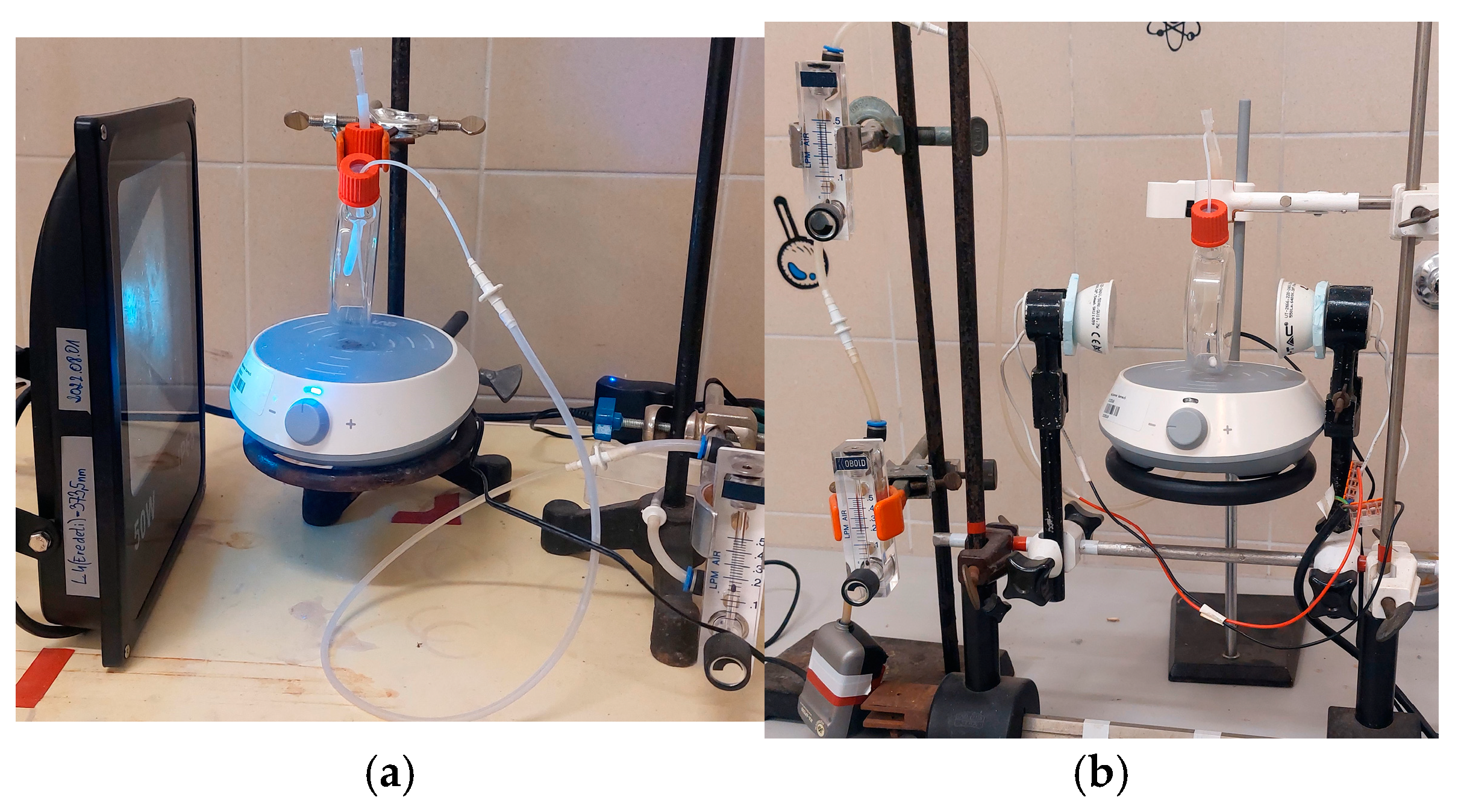 Catalysts 14 00898 g018