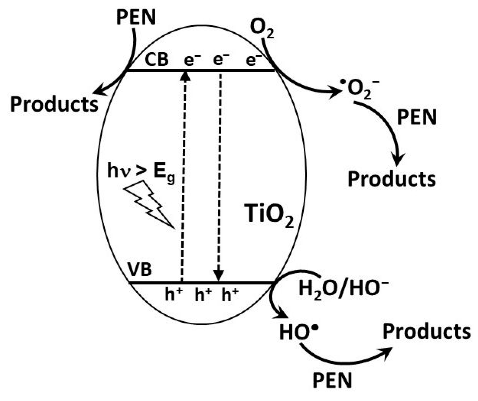 Catalysts 14 00898 sch001