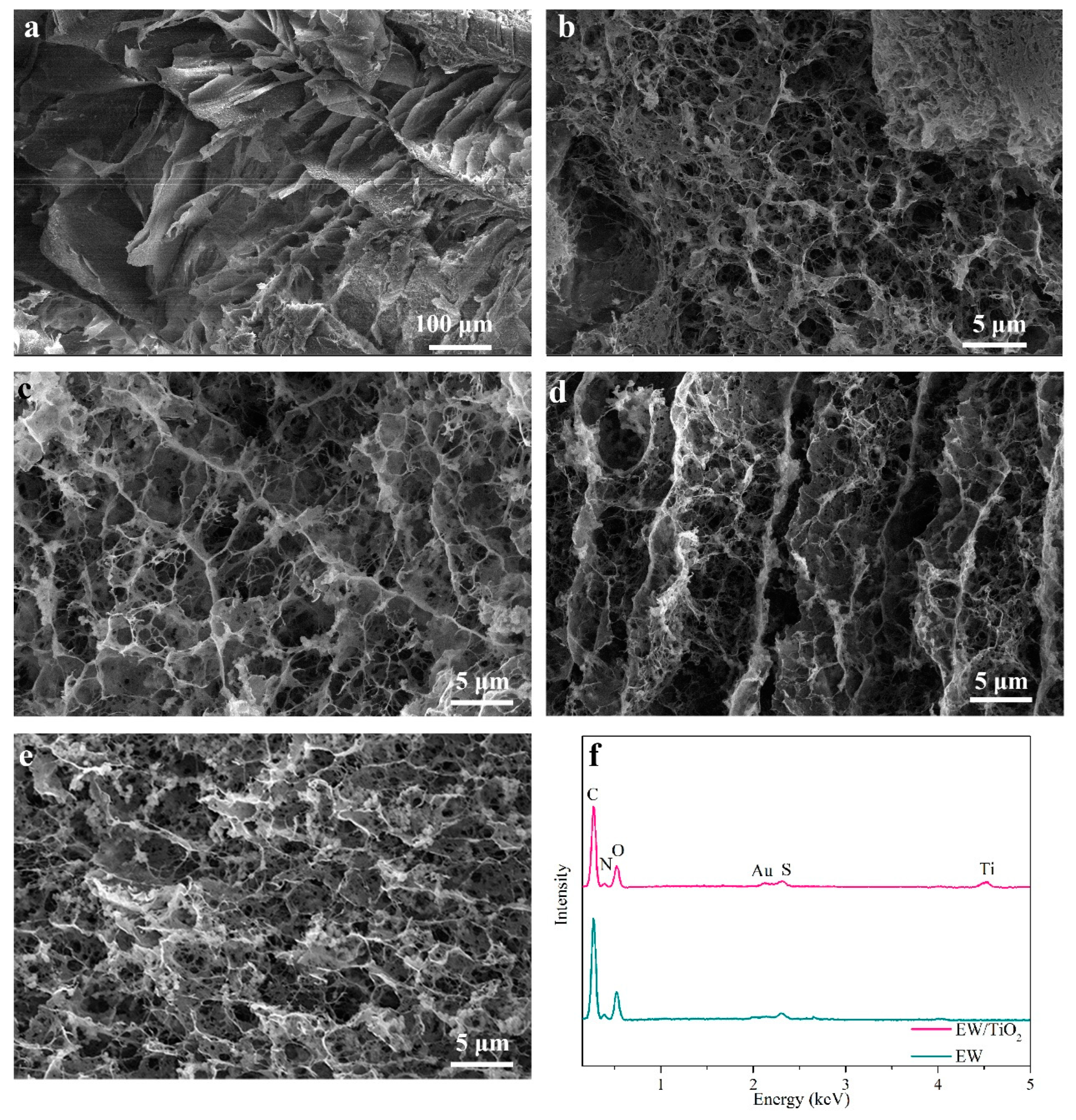Catalysts 14 00899 g001