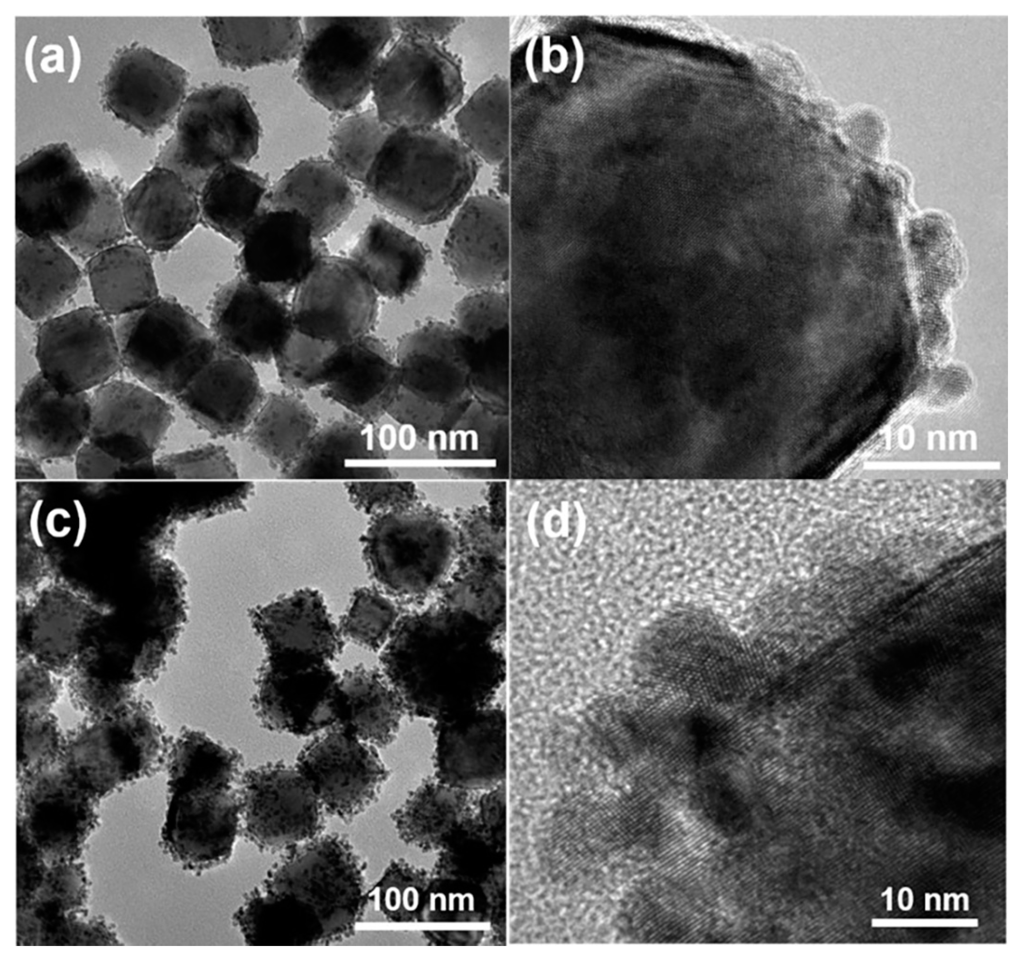 Catalysts 14 00900 g005