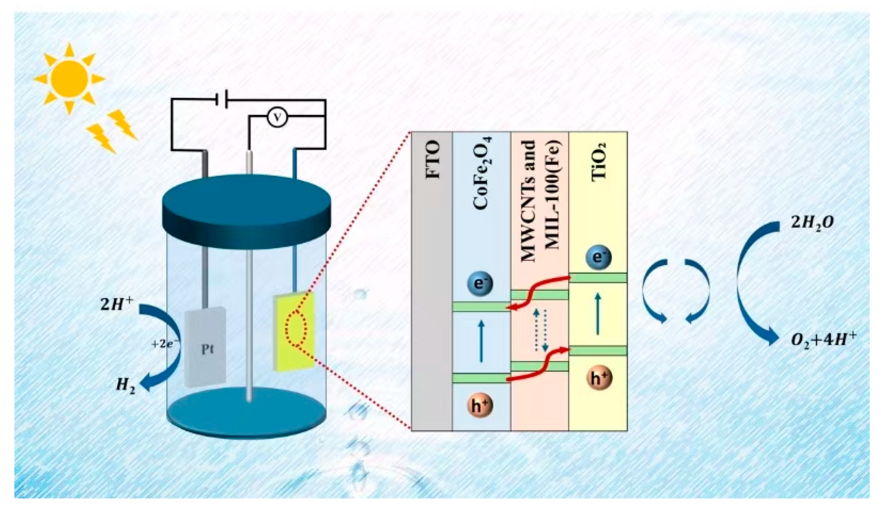 Catalysts 14 00901 g009