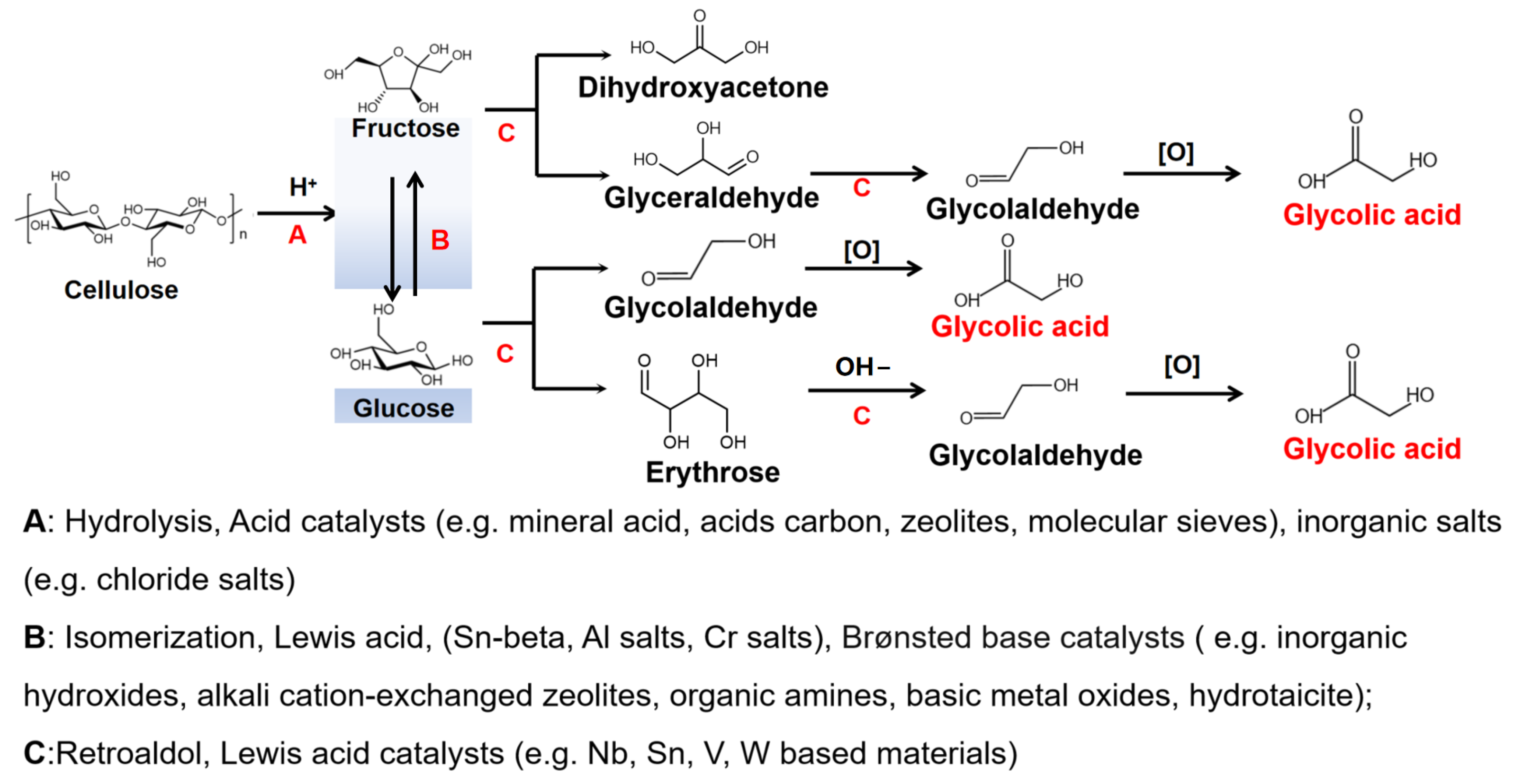 Catalysts 14 00903 g001