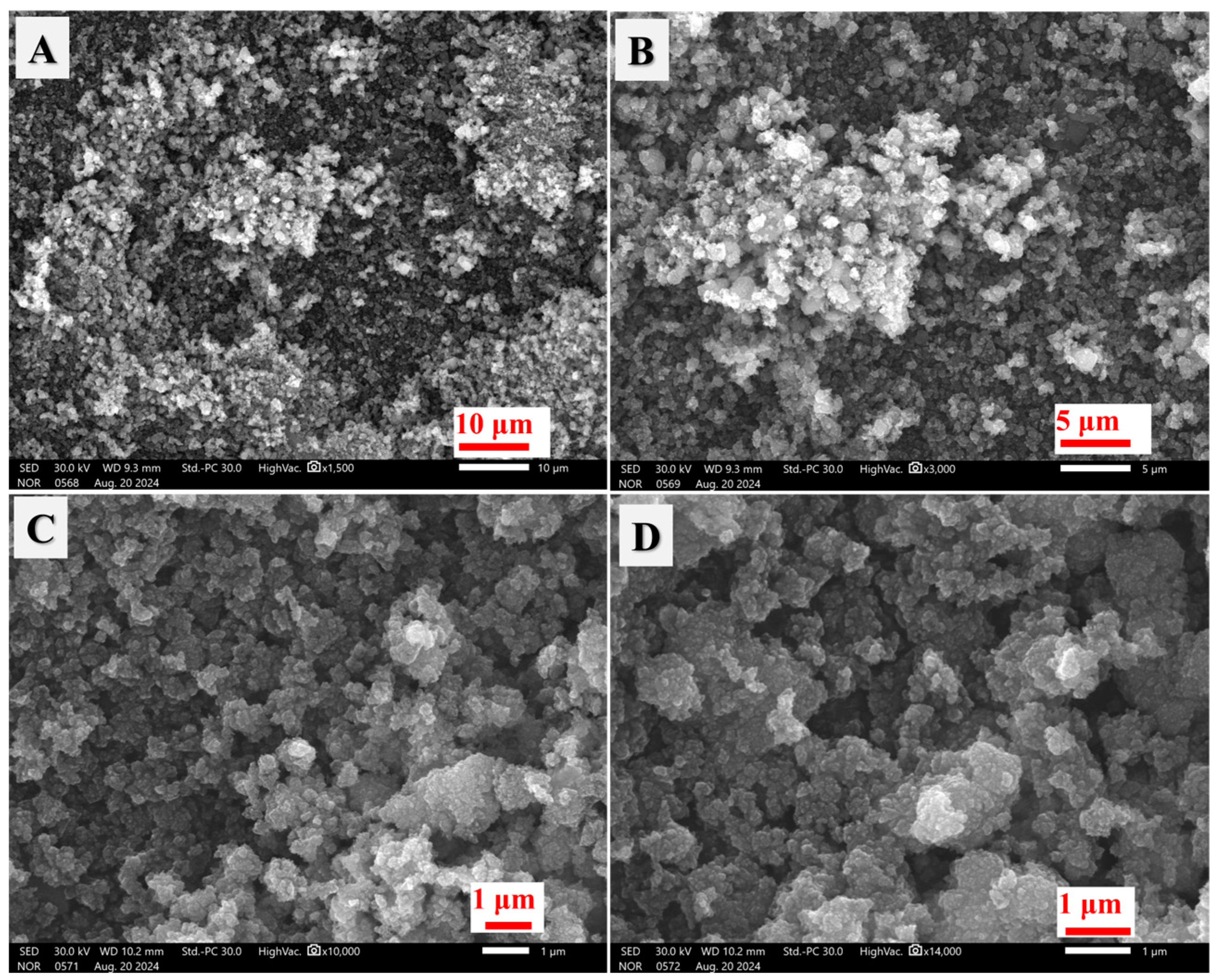 Catalysts 14 00904 g001